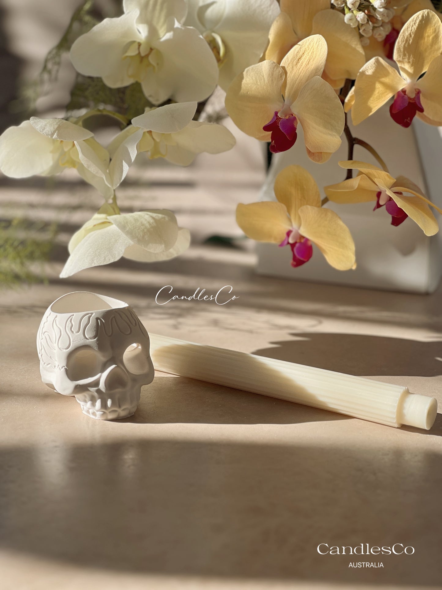 Skull Tealight or Candlestick Holder