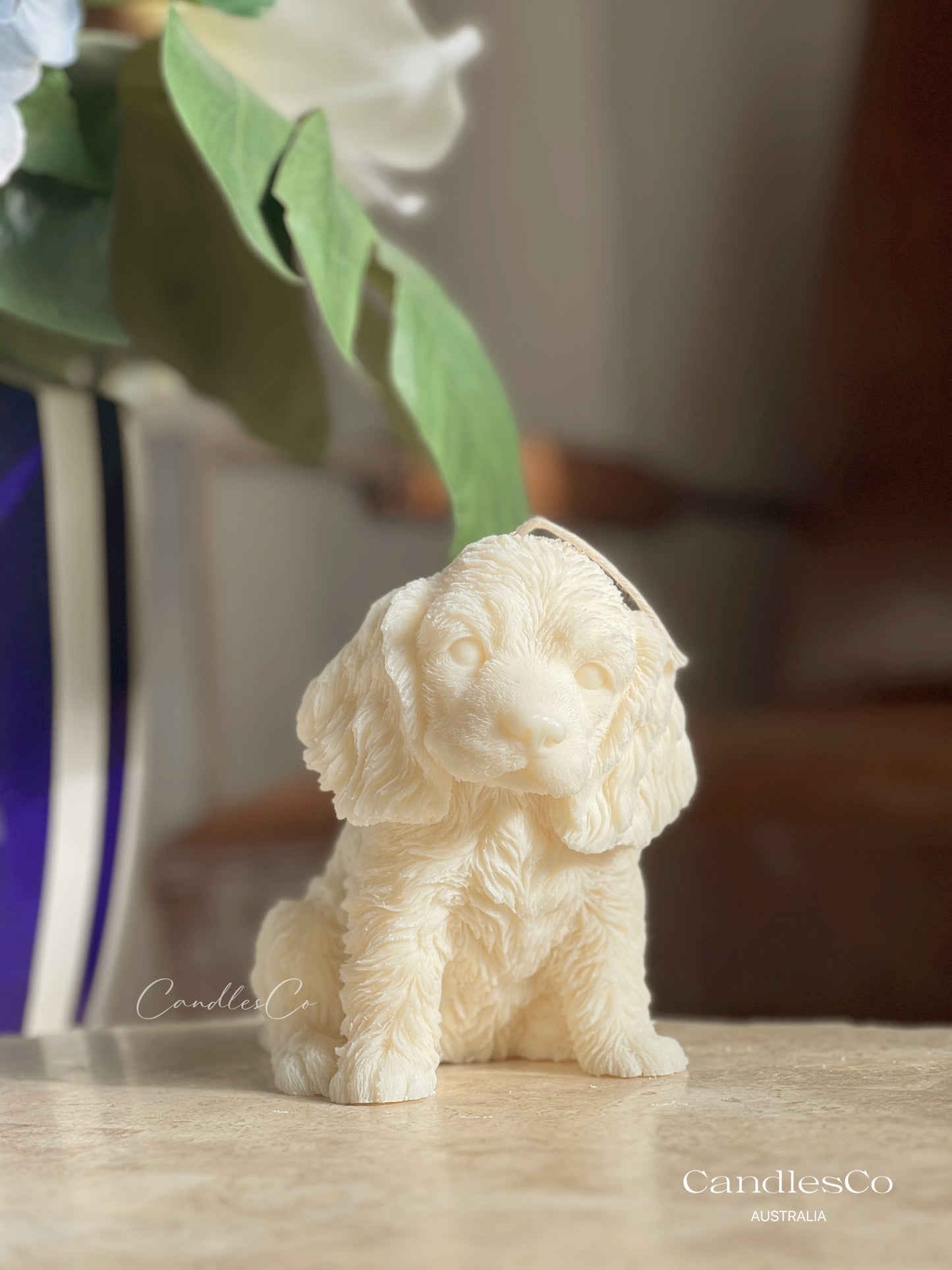 Cocker Spaniel Puppy