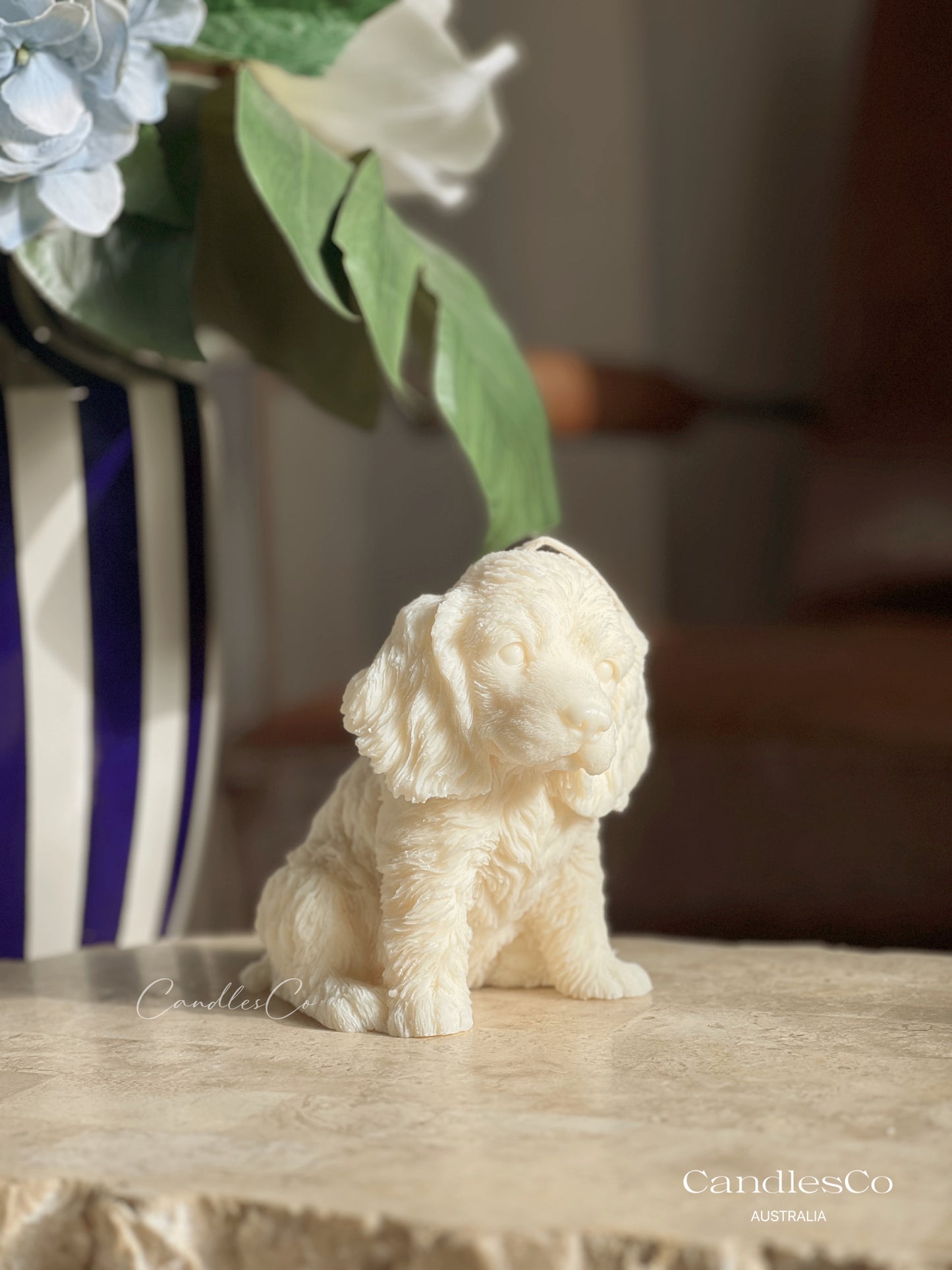 Cocker Spaniel Puppy