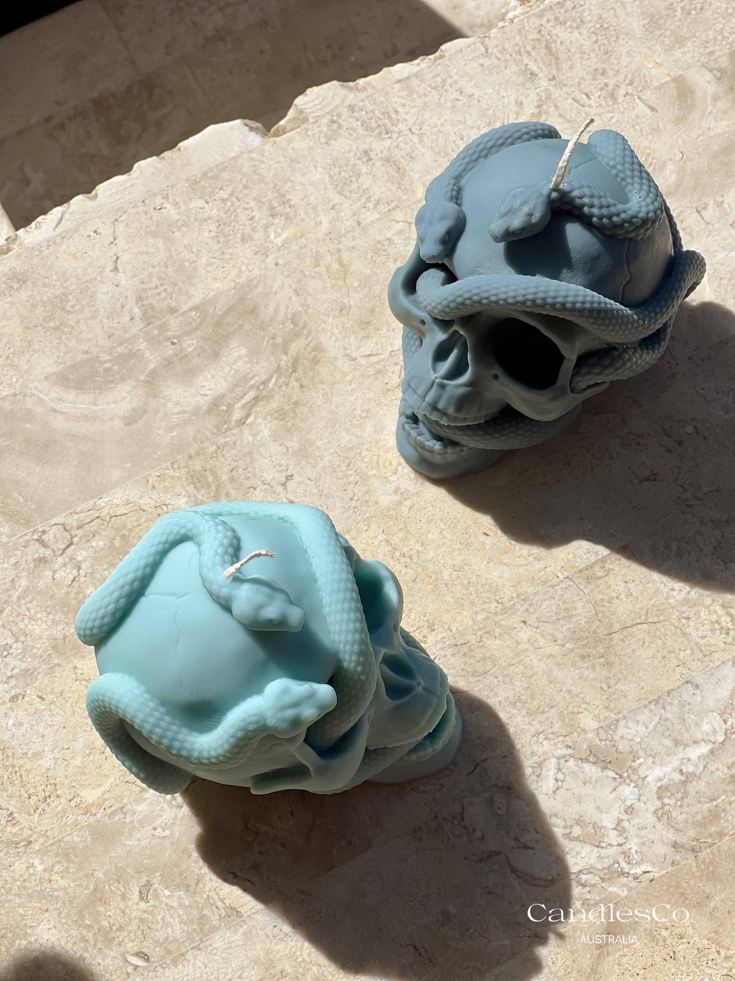 Snake Skull