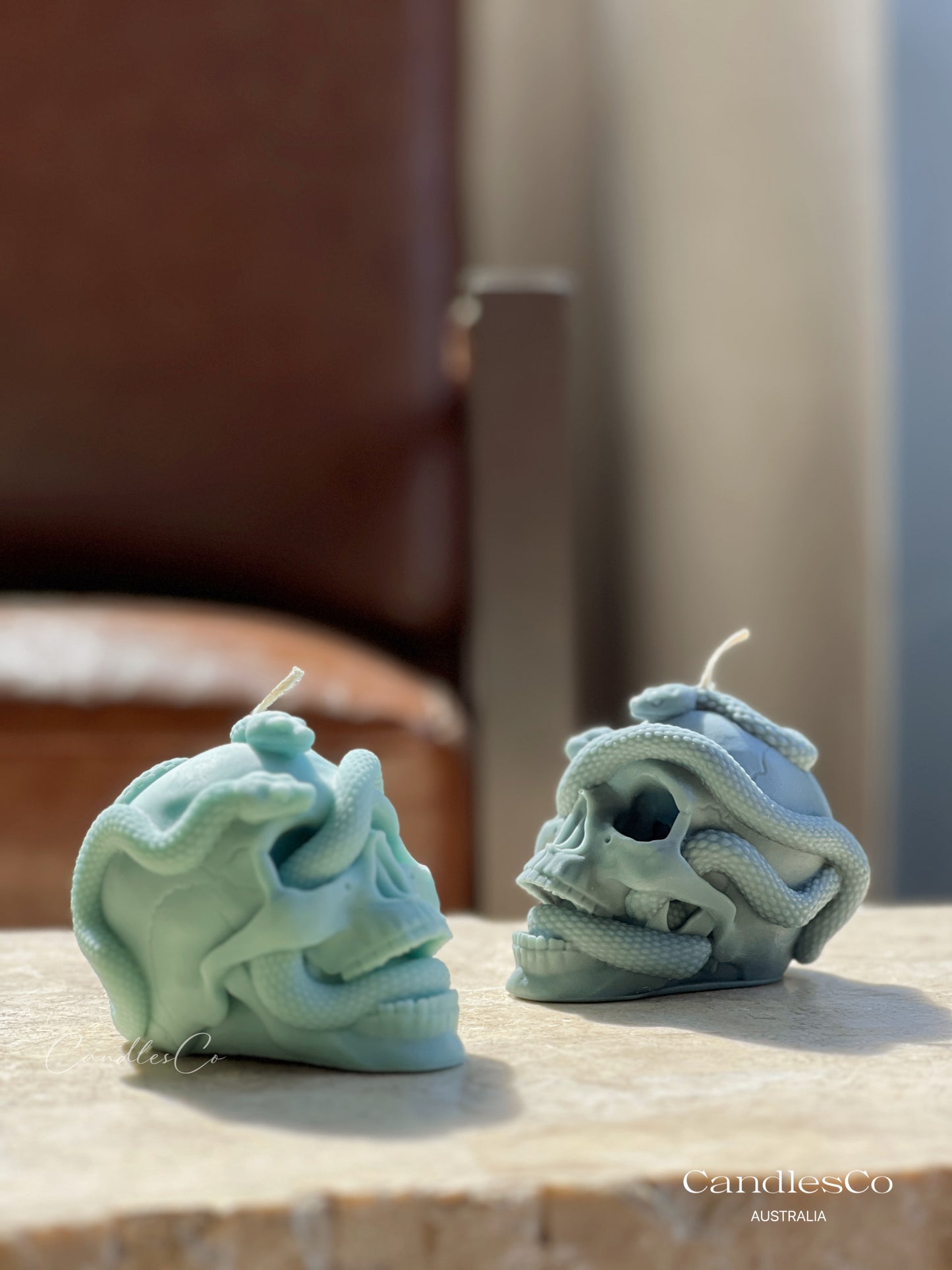 Snake Skull