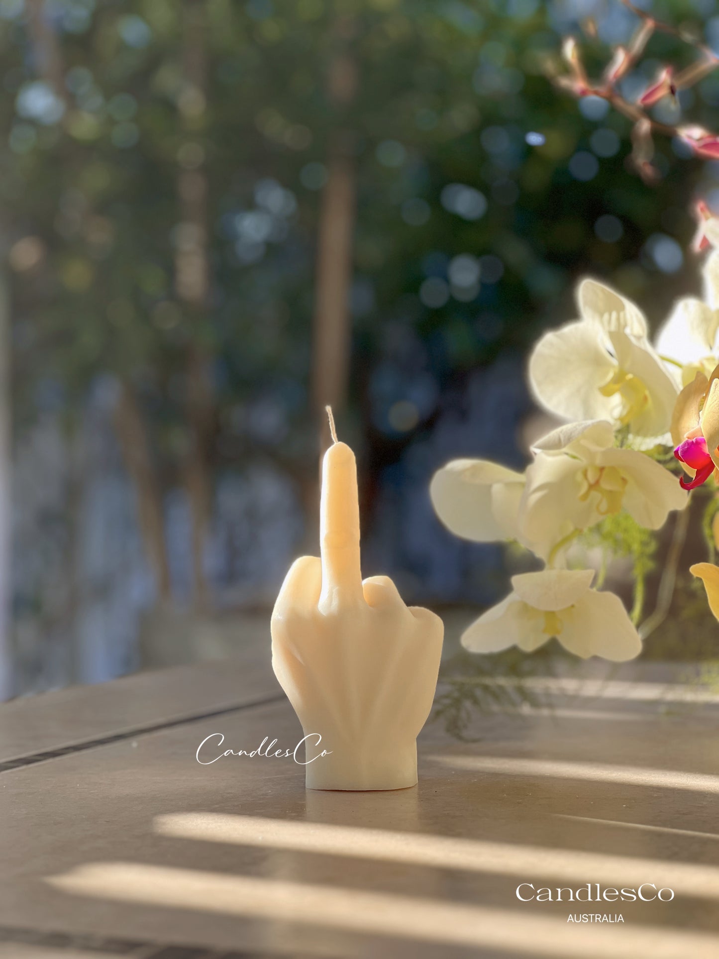 Rude Finger