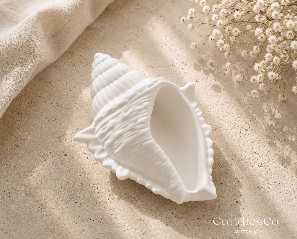 Seashell Vessel