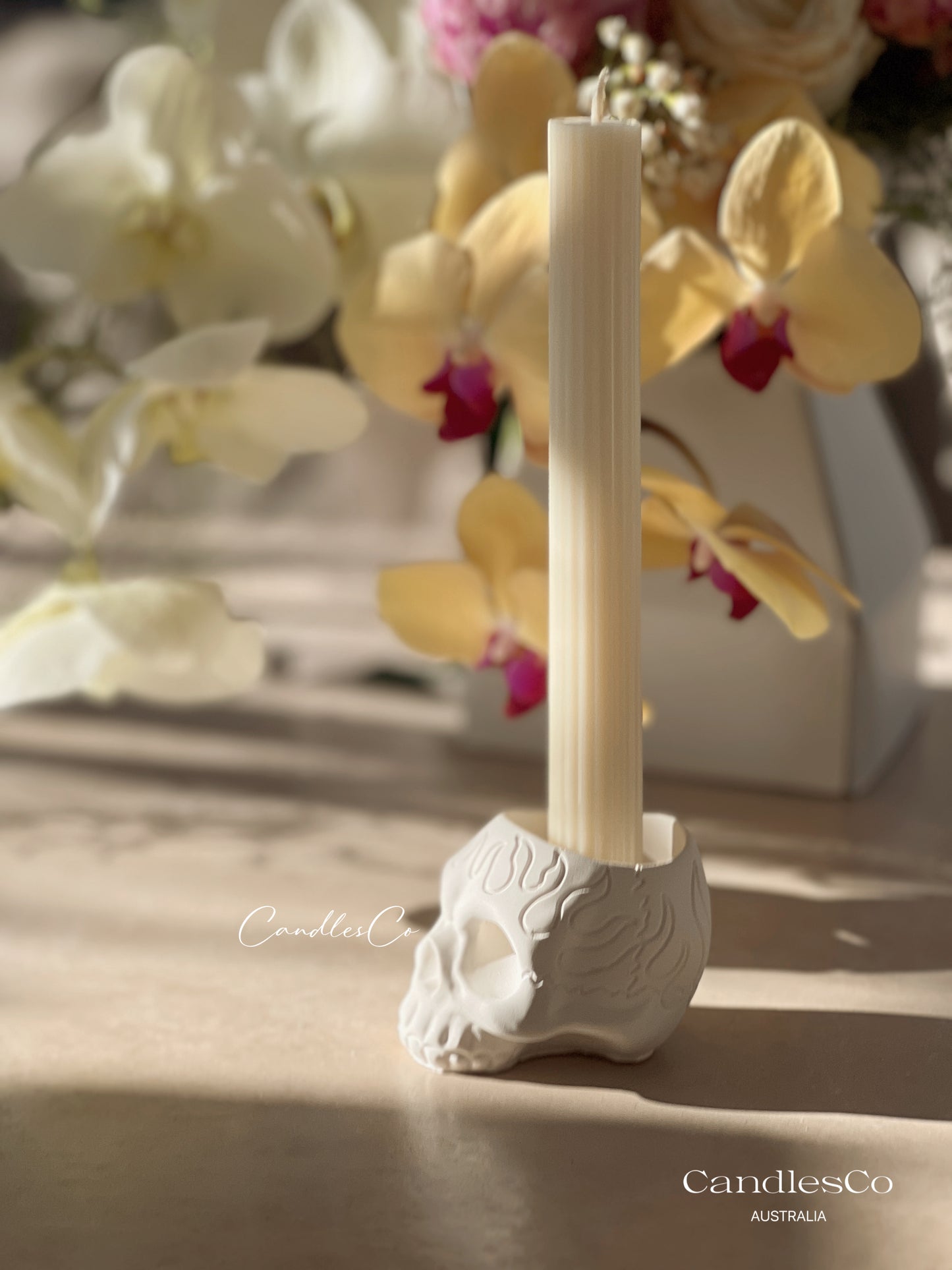 Skull Tealight or Candlestick Holder