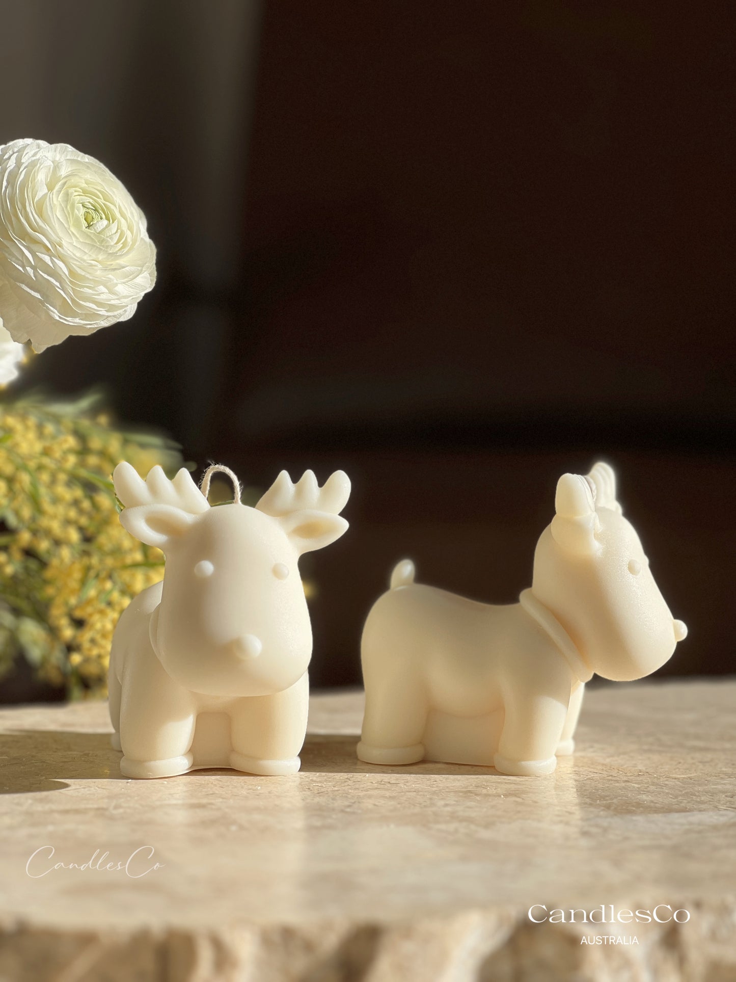Reindeer