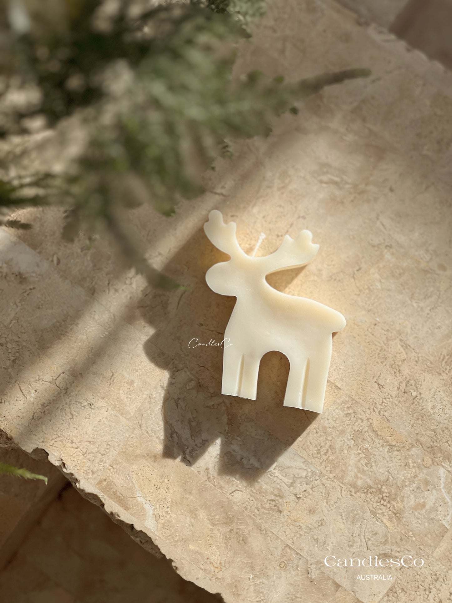 Reindeer