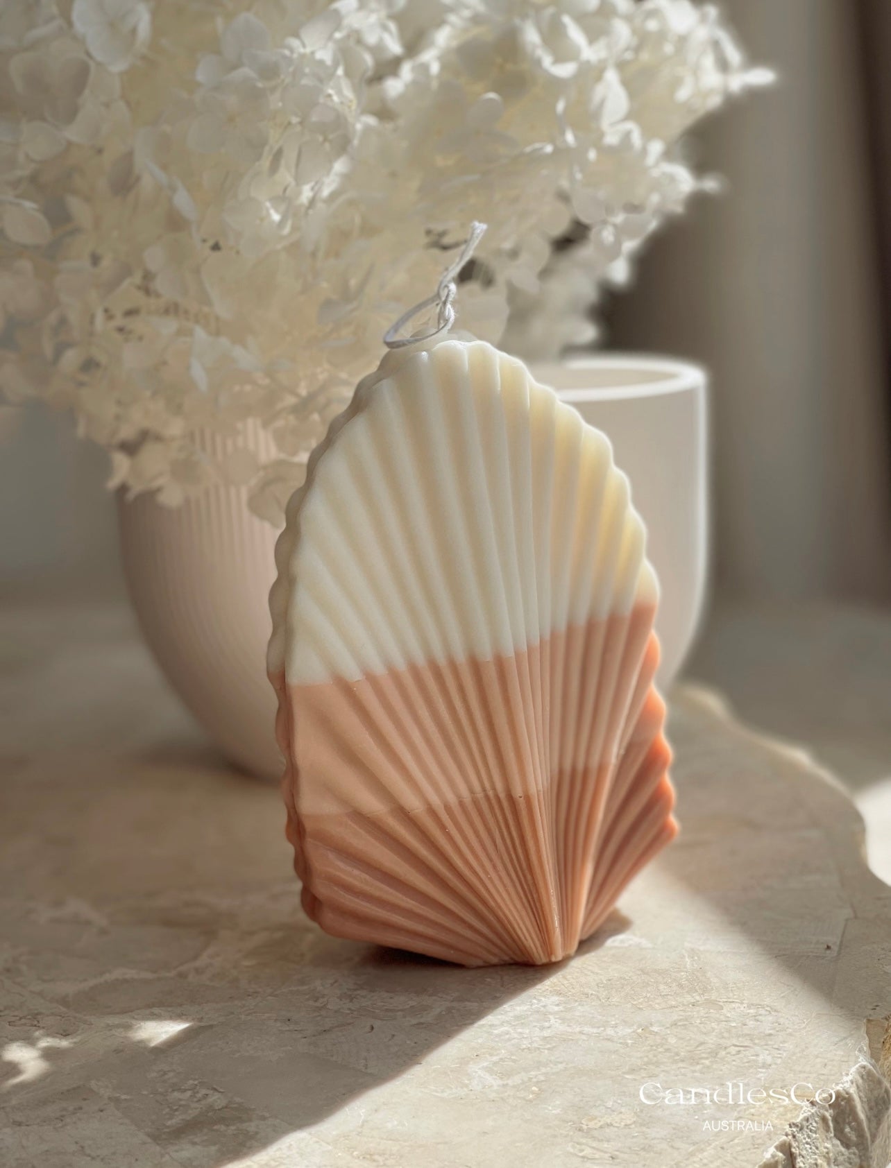 Ombré Palm Leaf