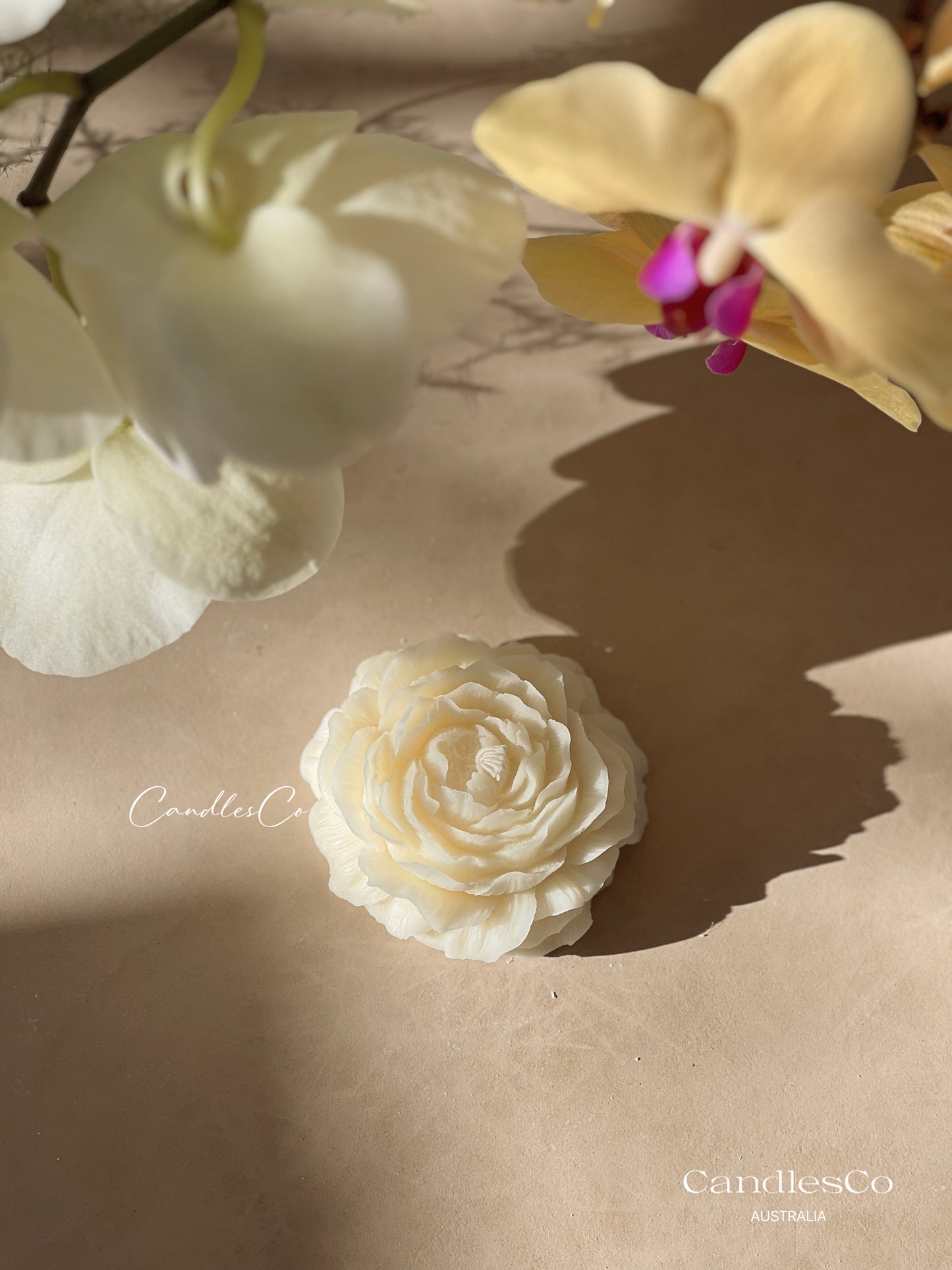 Peony