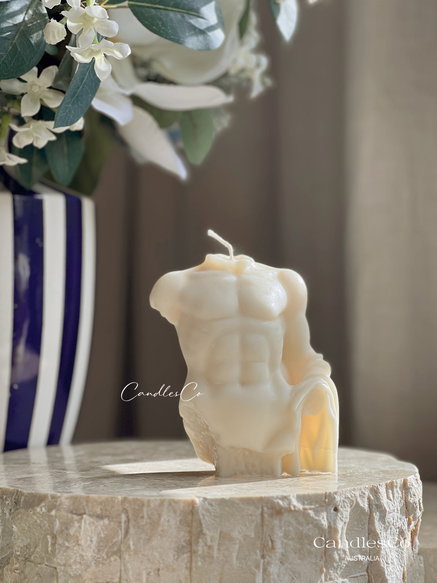 Male Torso