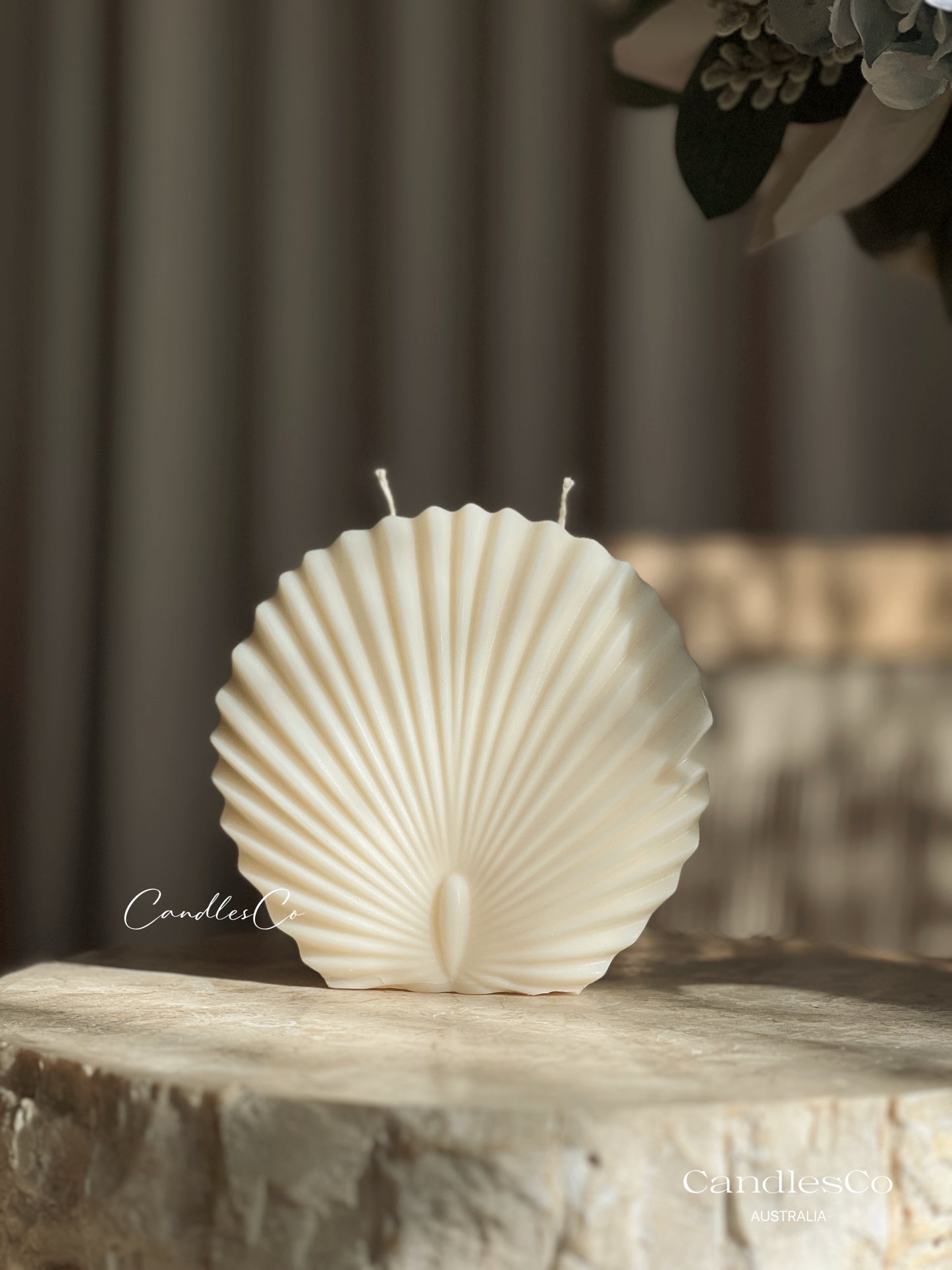 Large Shell