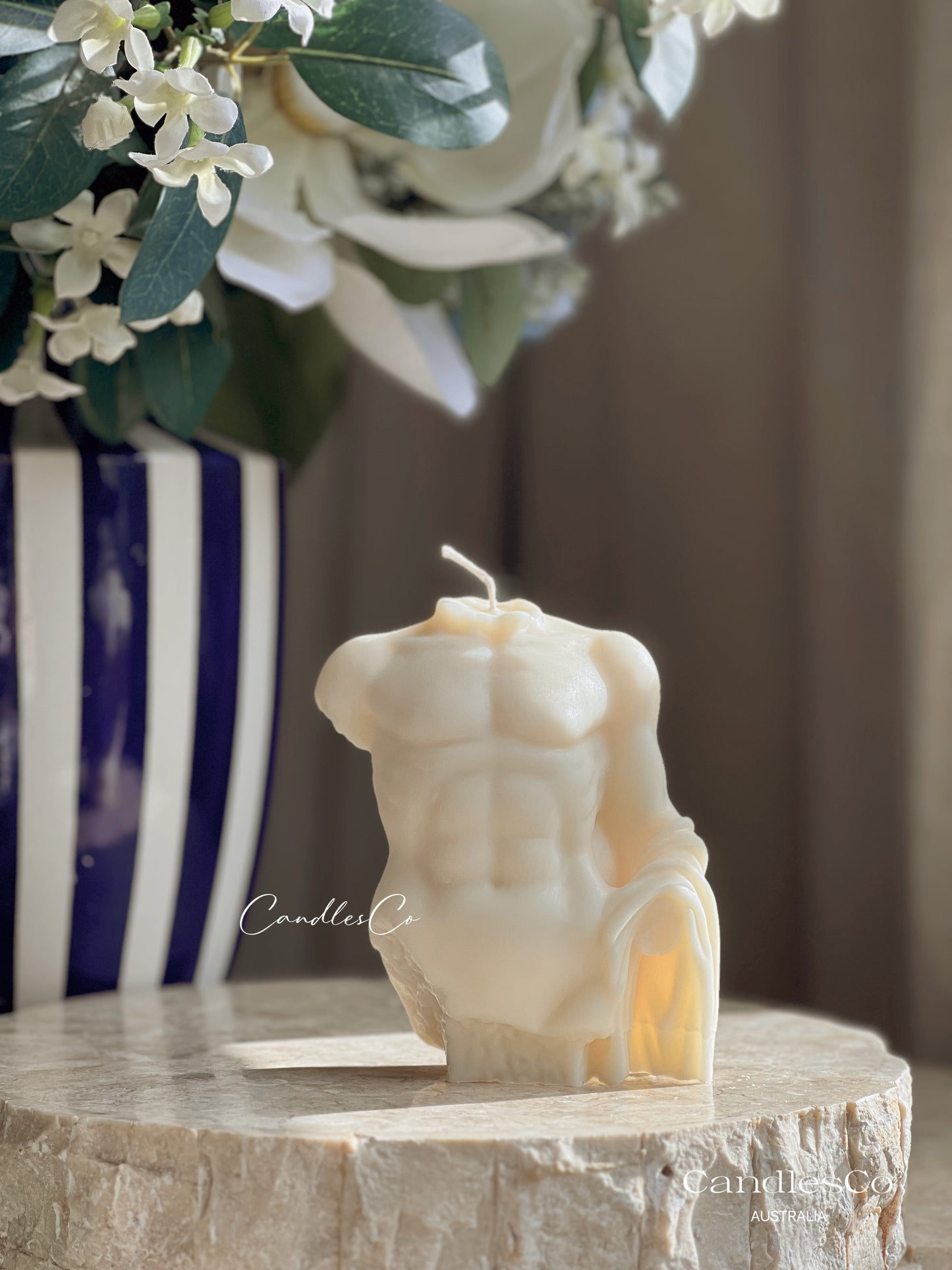 Male Torso