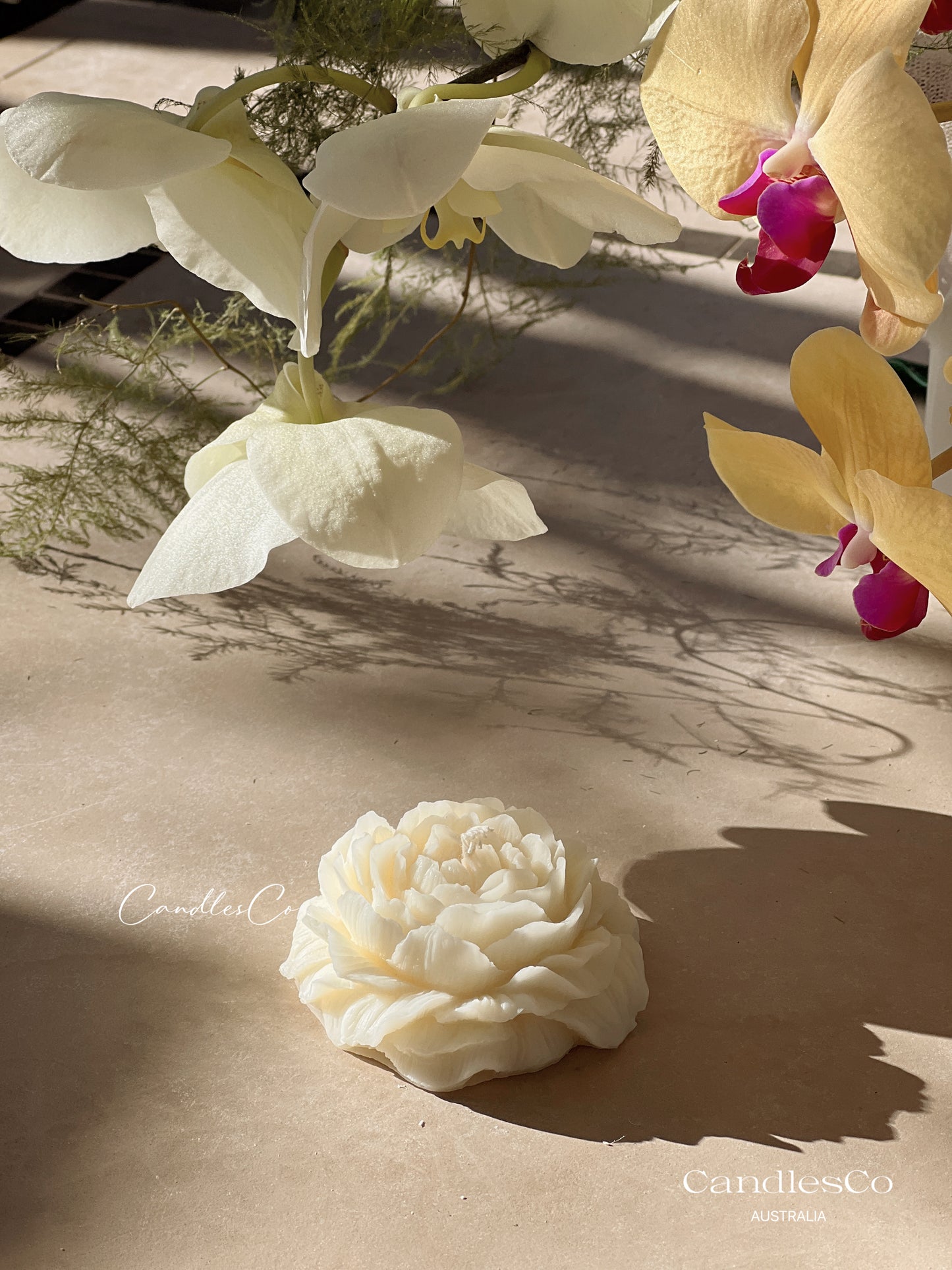 Peony