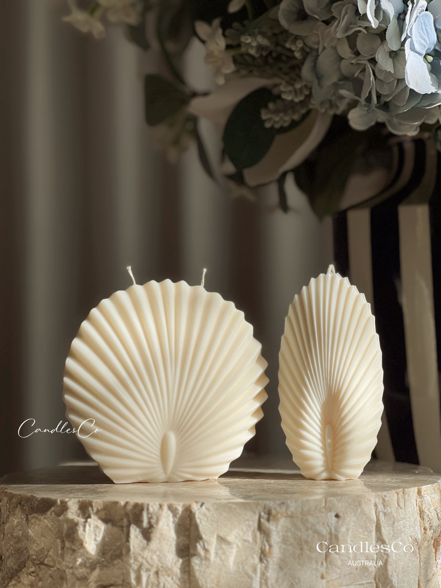 Large Shell