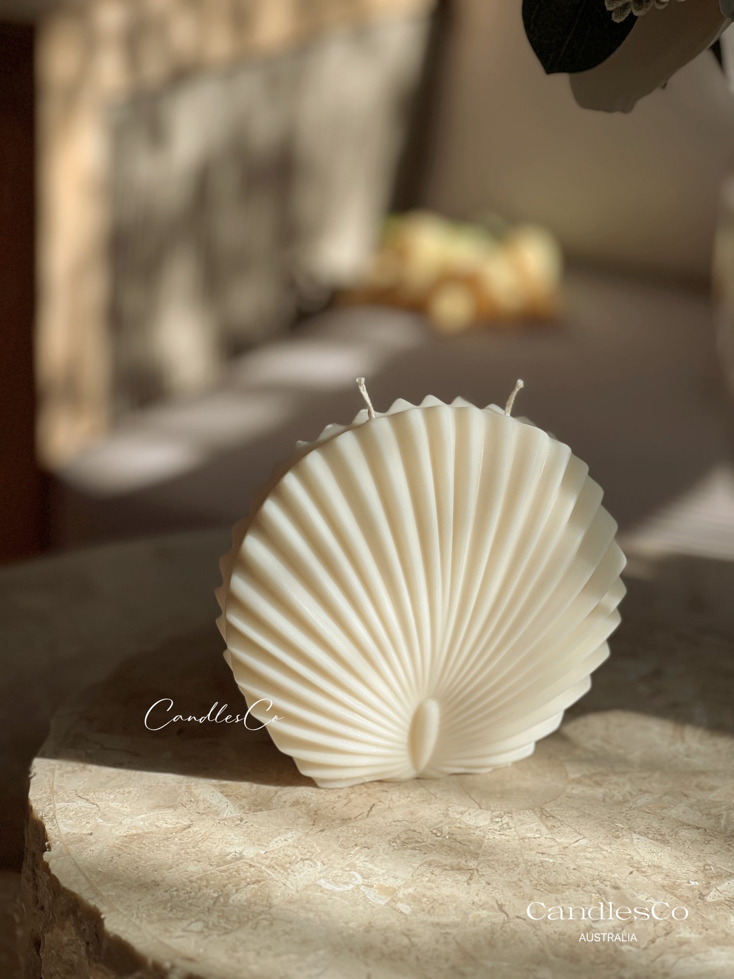 Large Shell