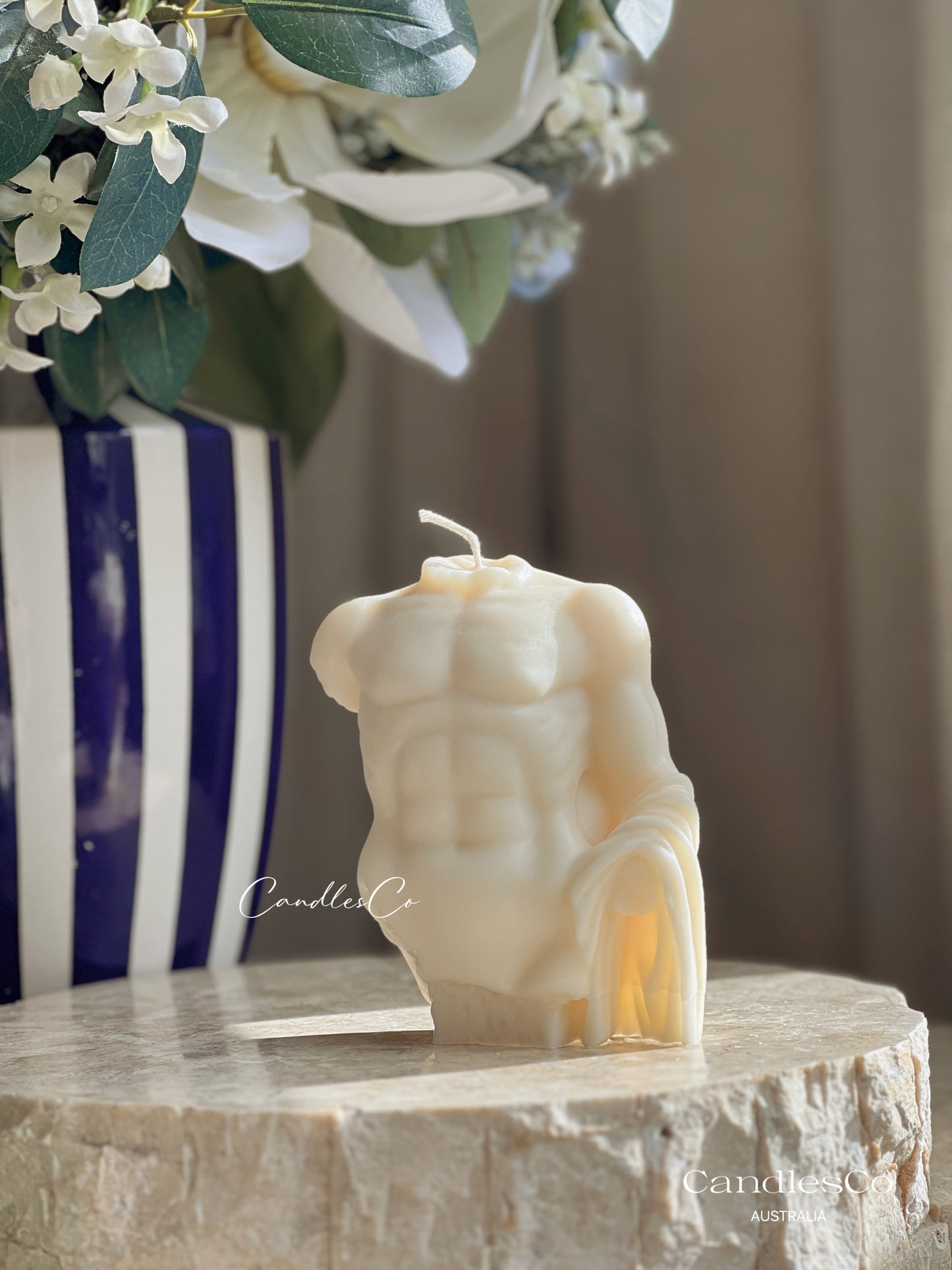 Male Torso