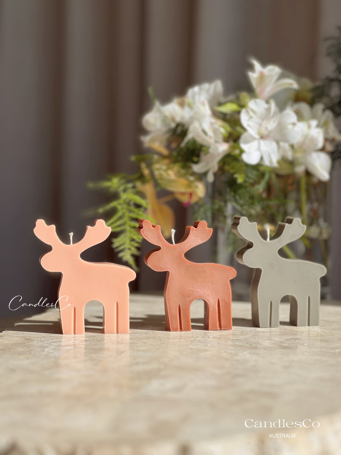 Reindeer