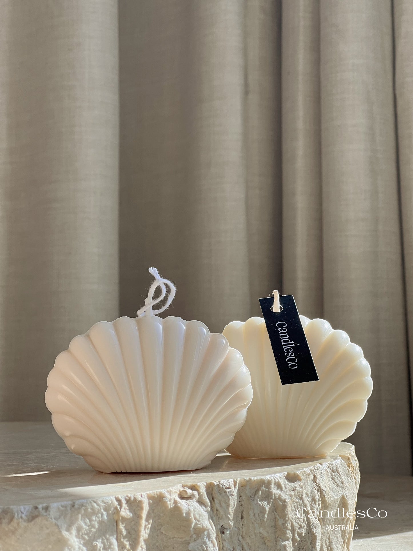 Seashell