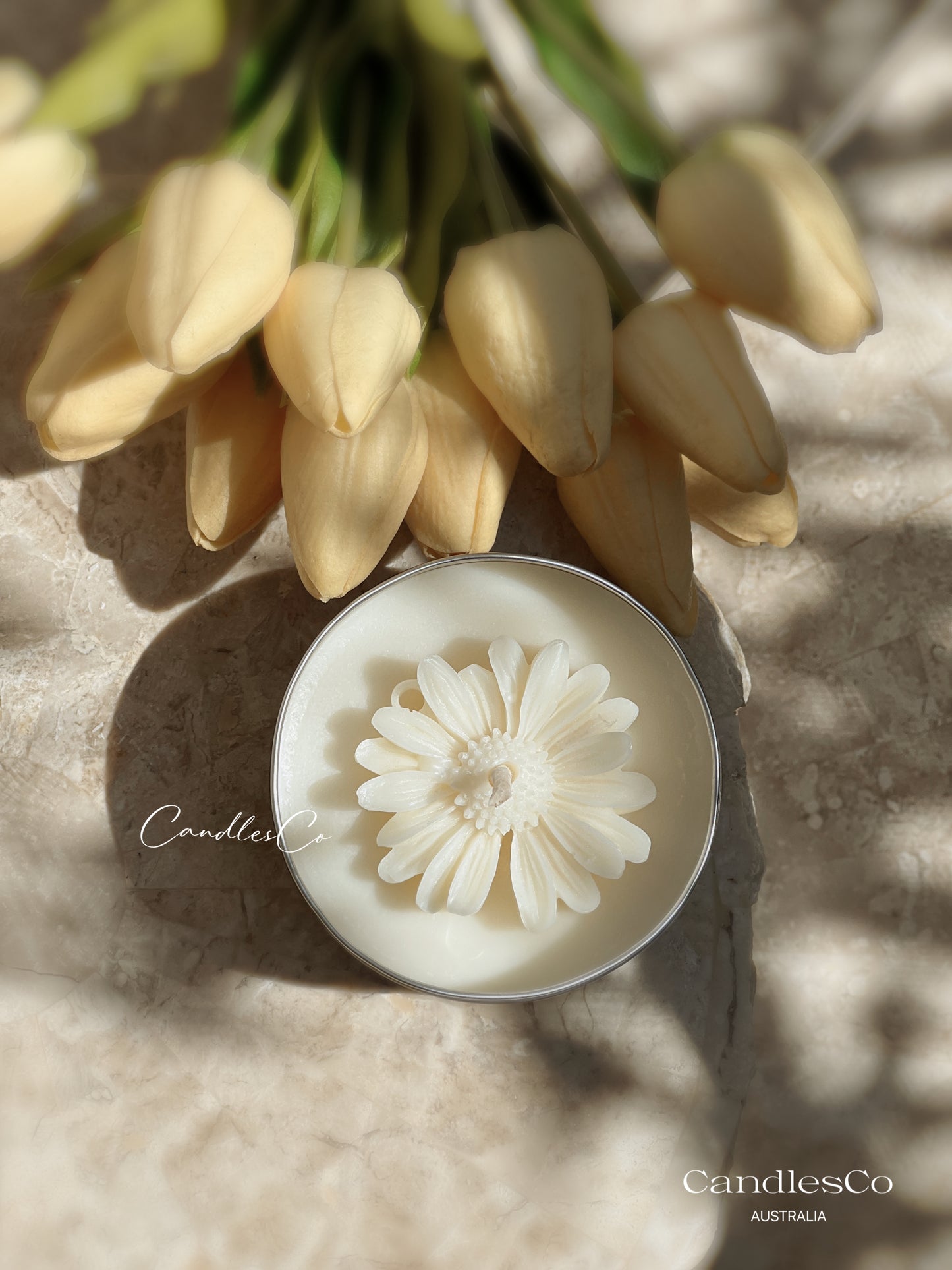 Scented Daisy
