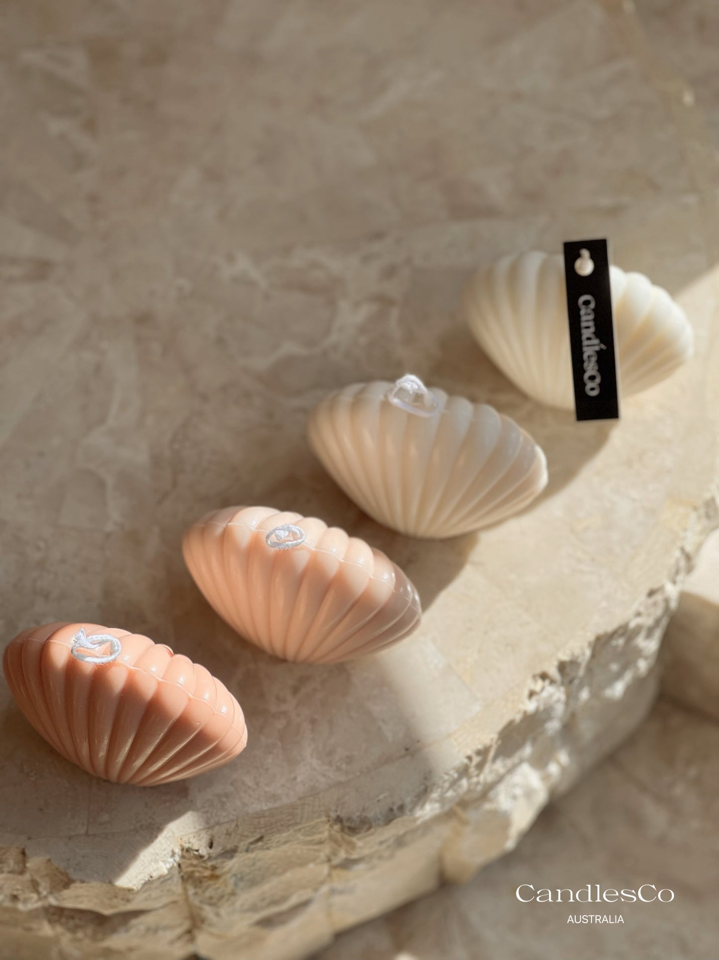 Seashell