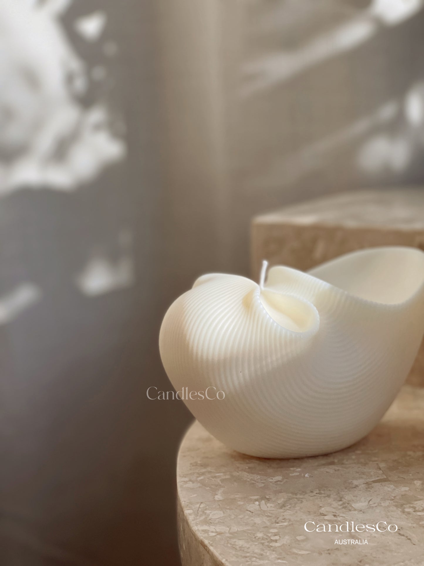 Coastal Shell