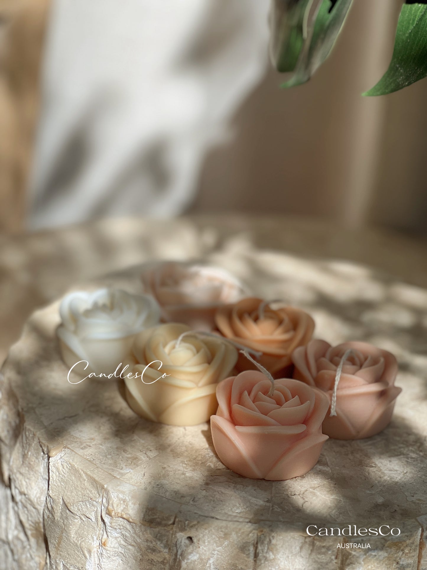 Small Rose