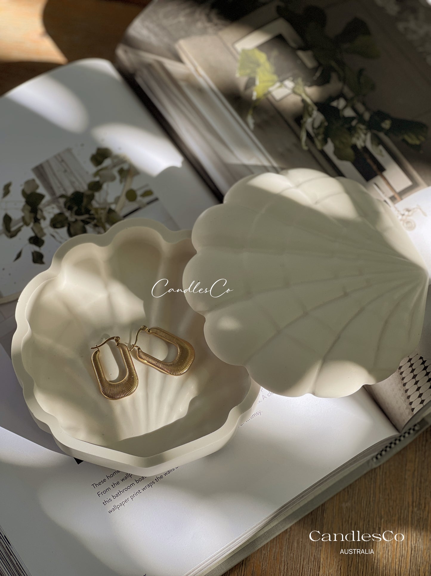 Clam Shell Trinket Box