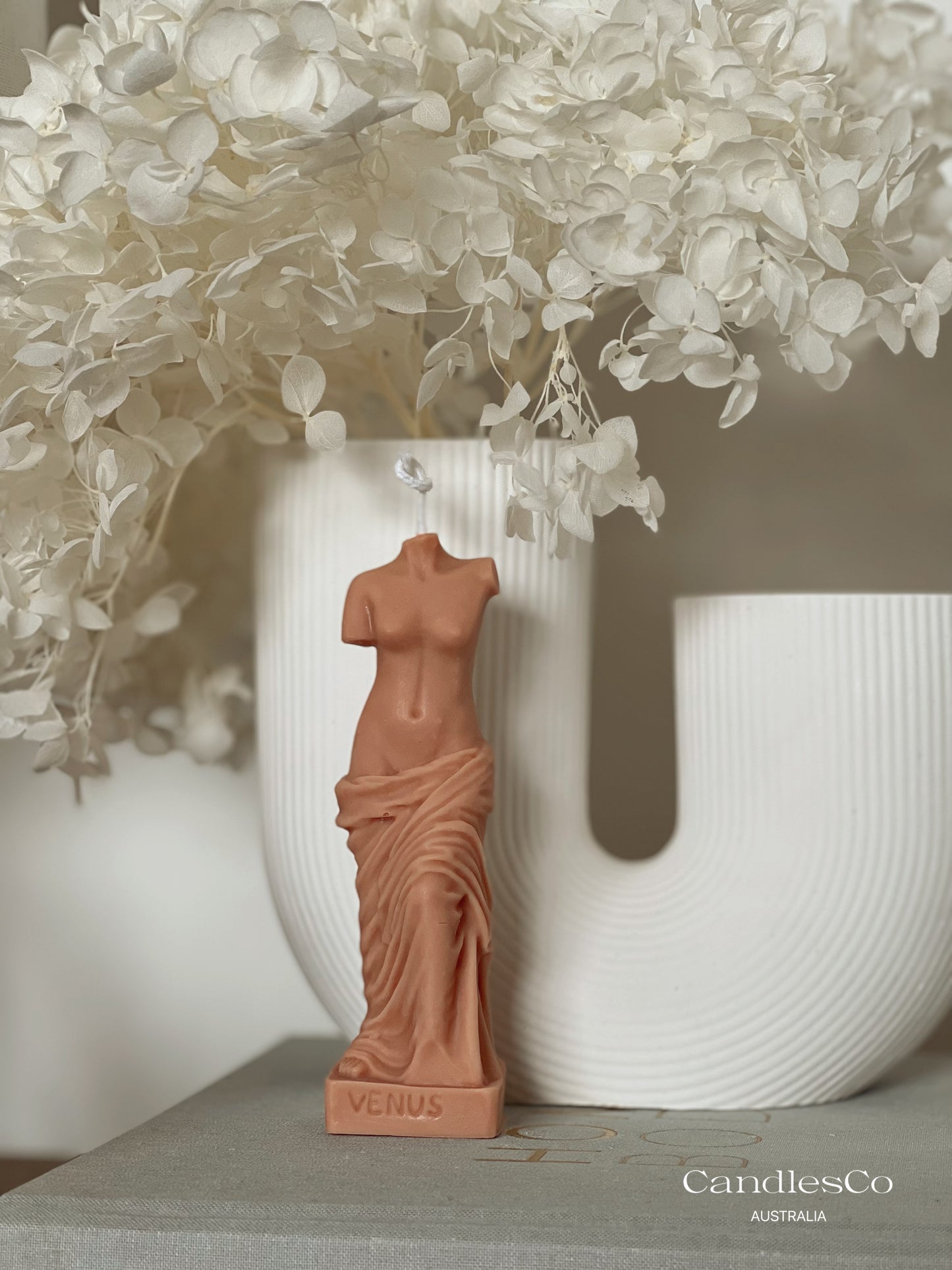 Small Venus Statue