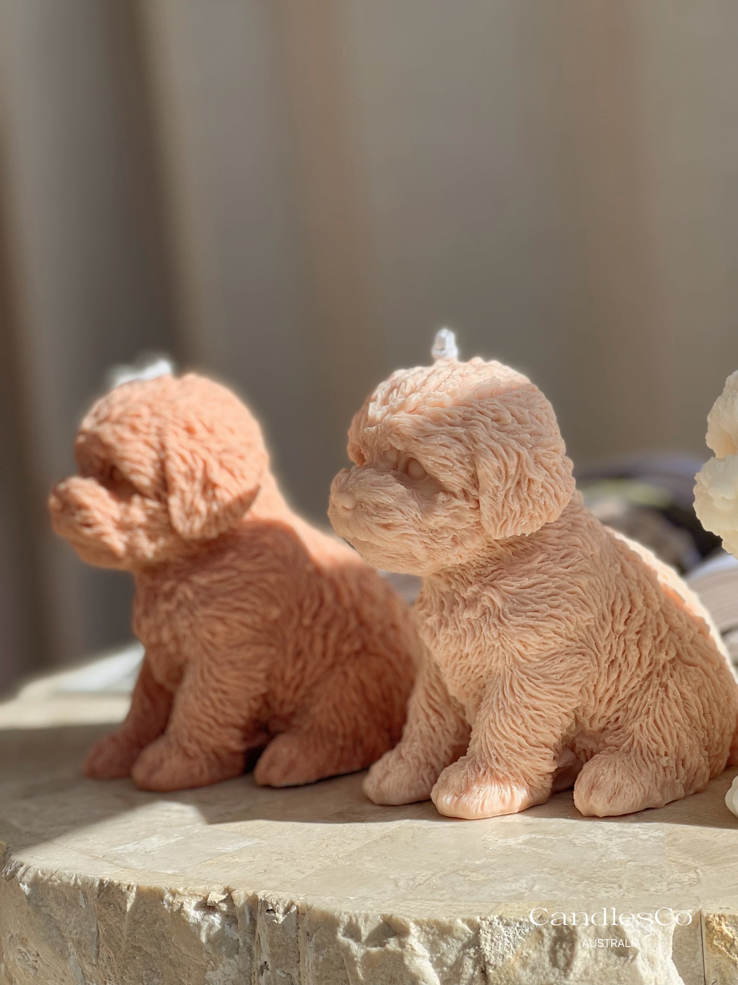Puppy Dog