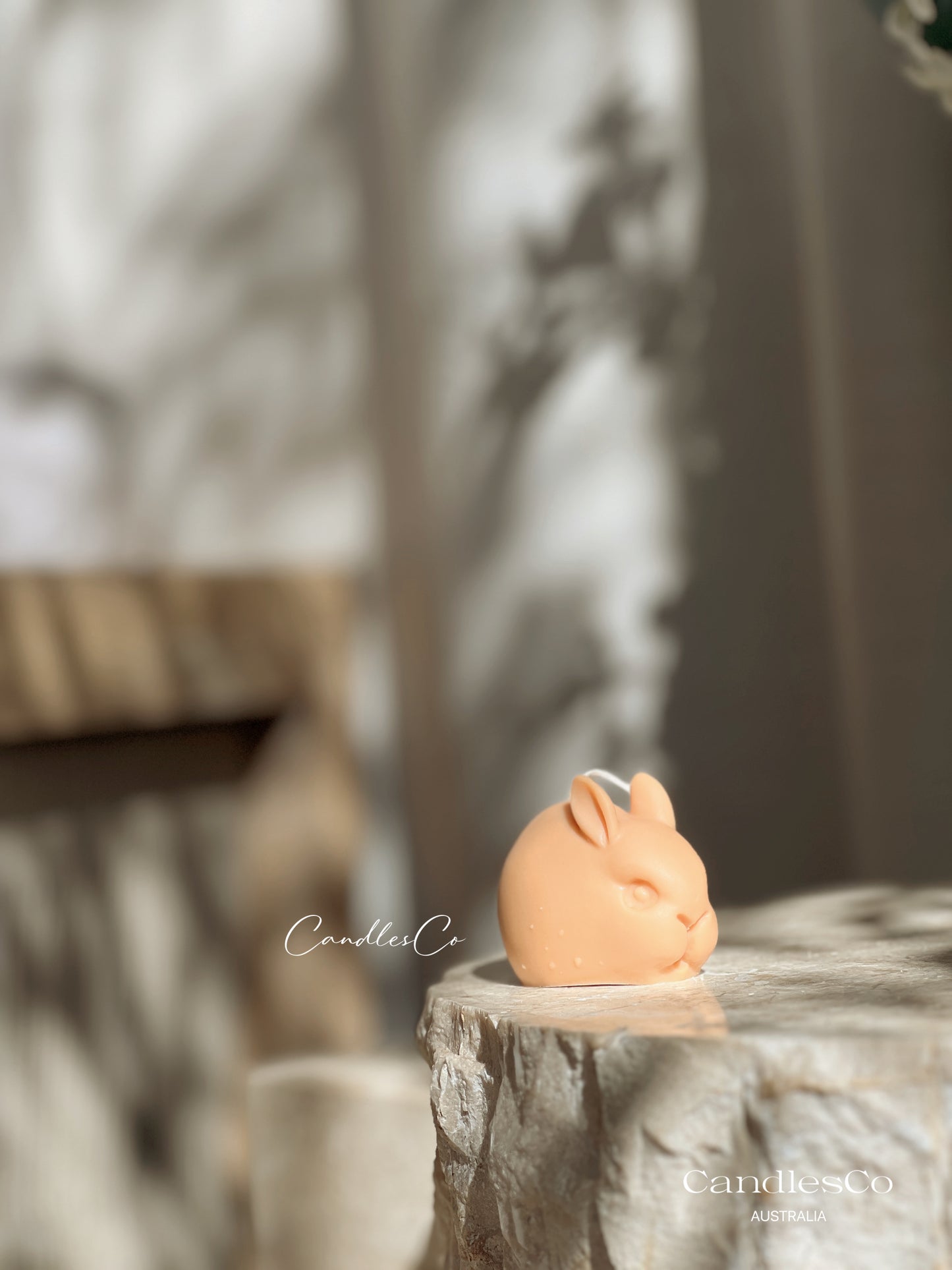 Mini Rabbit