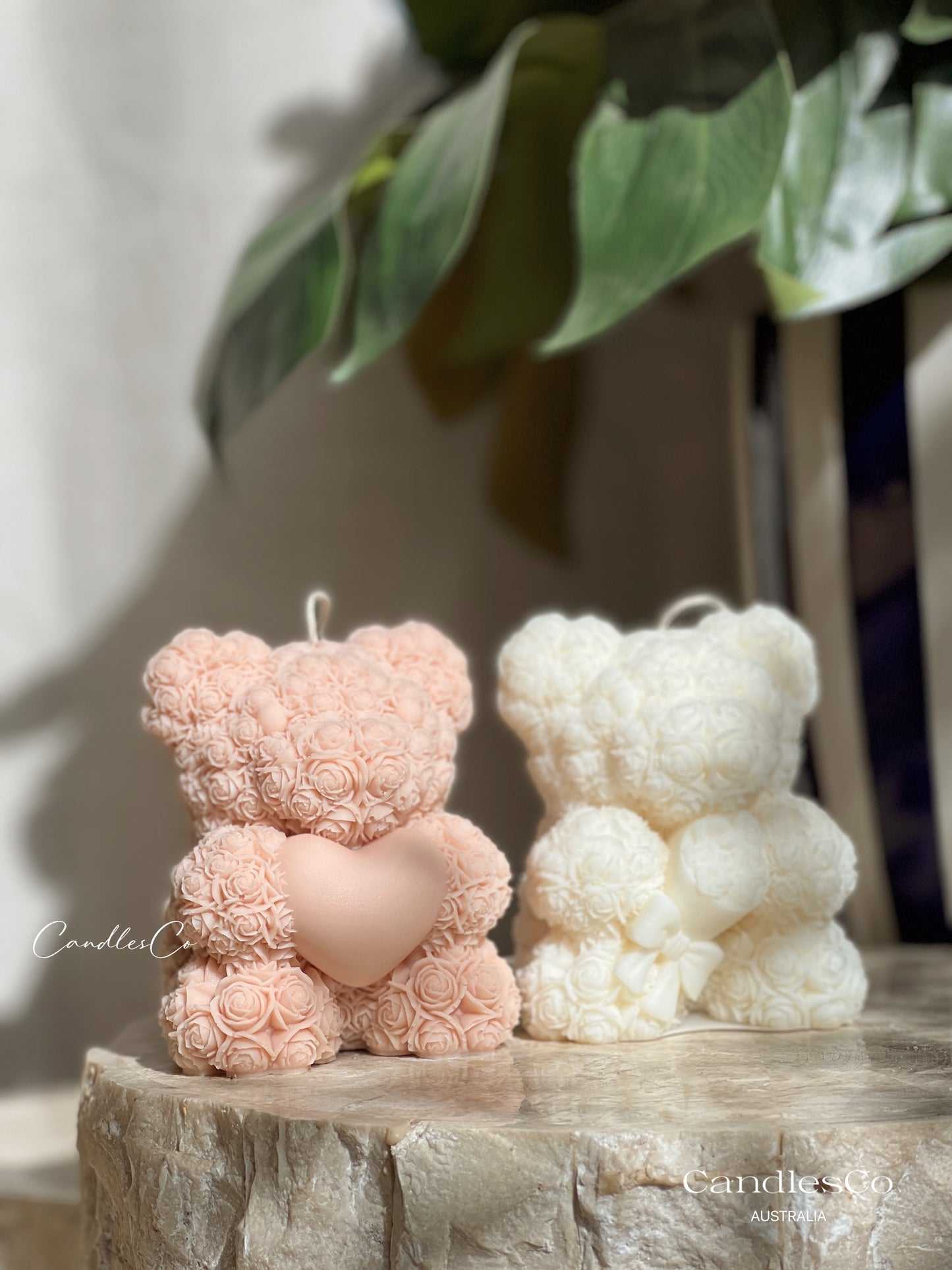 Rose Teddy