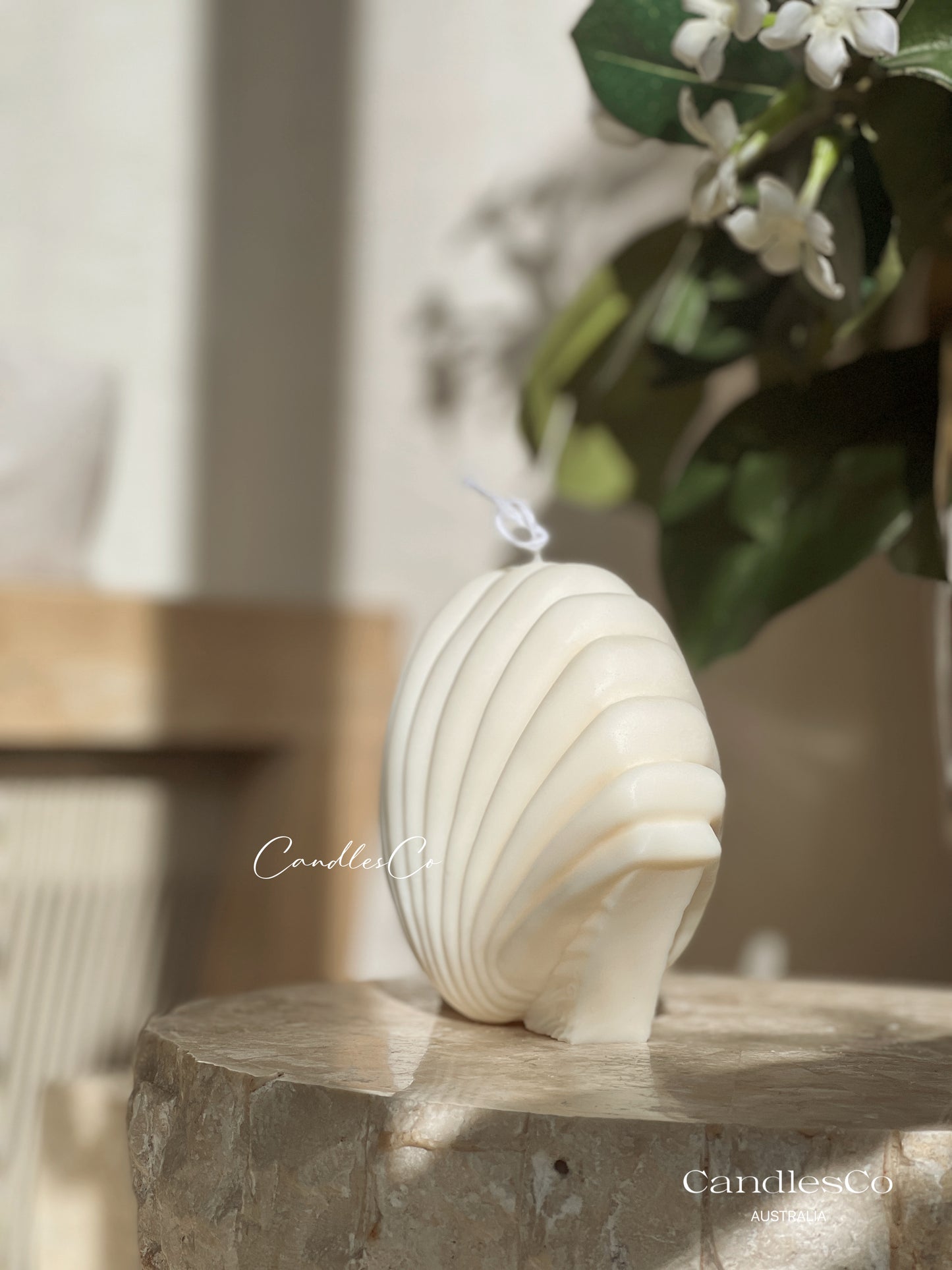 Large Scallop Shell