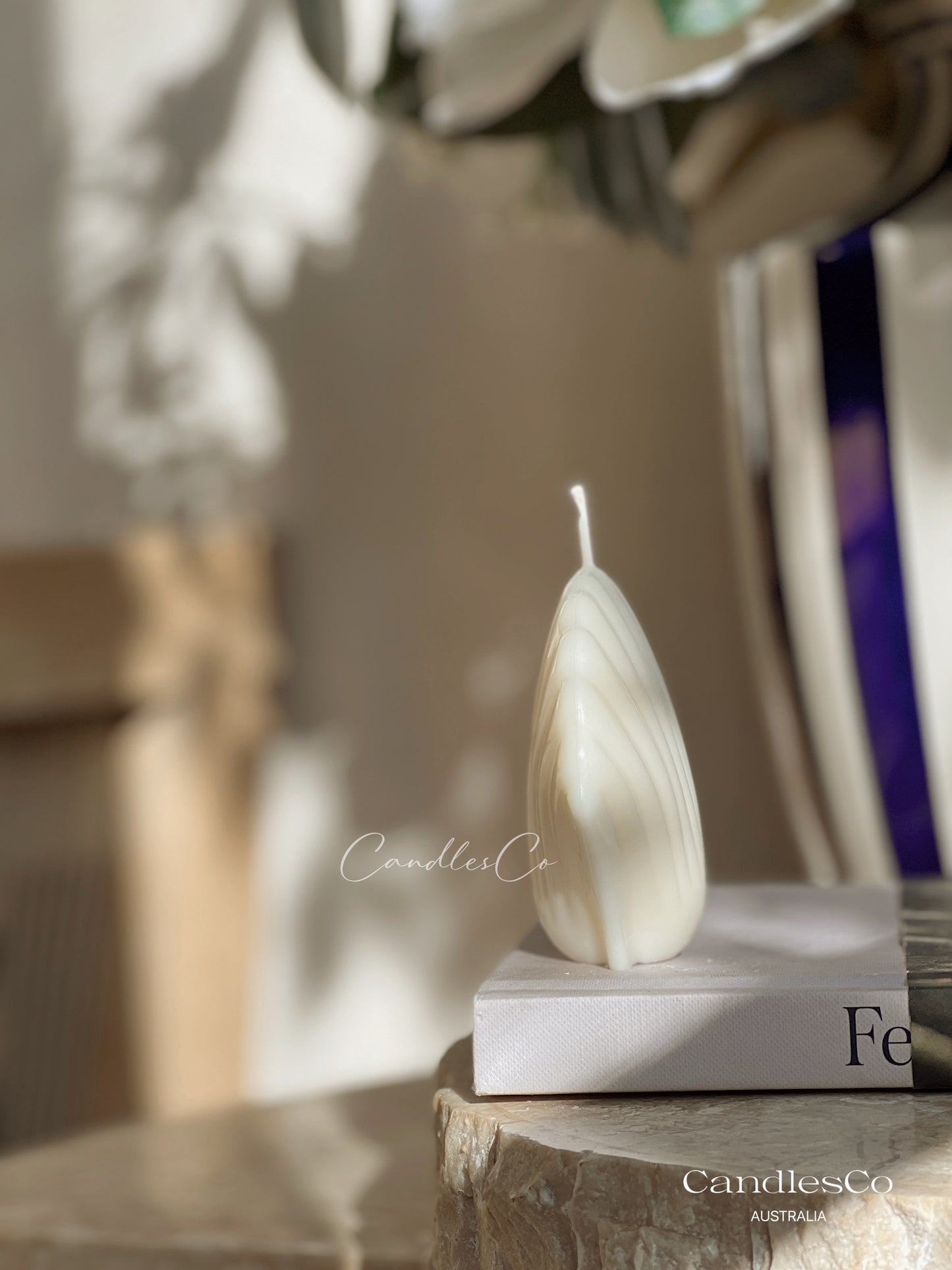 Scallop Seashell
