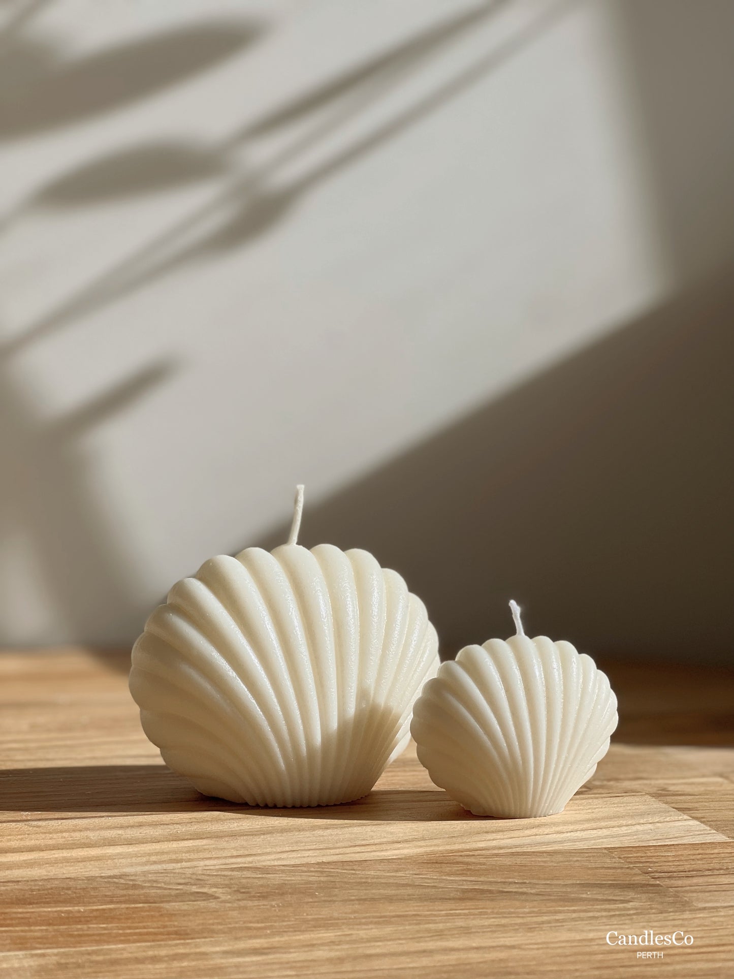 Seashell Set