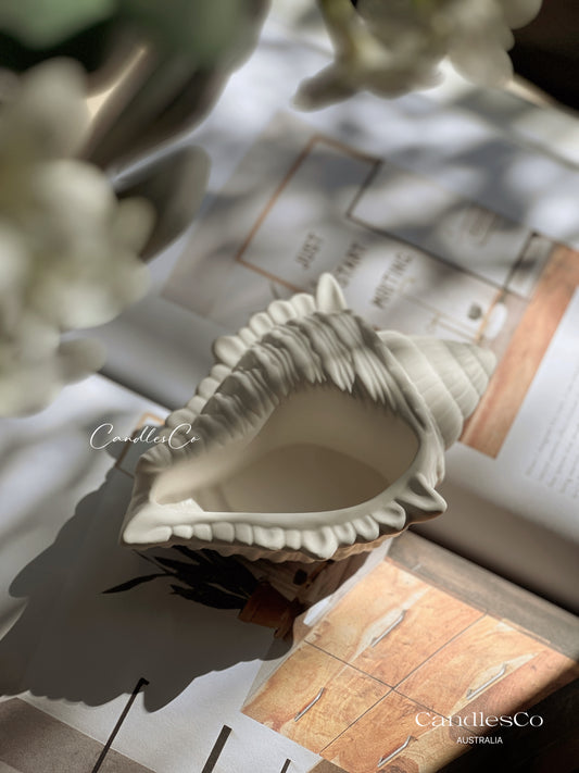 Seashell Vessel