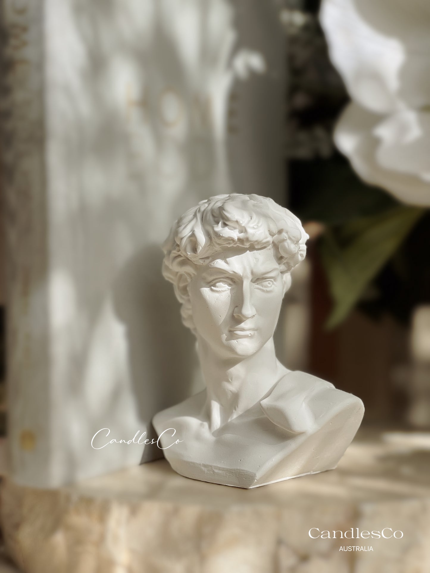 Statue David Bookend