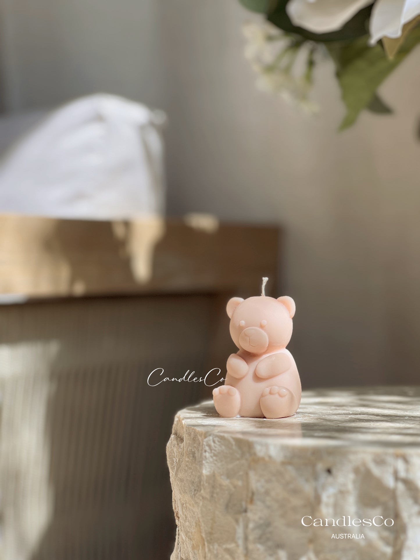 Small Teddy Bear