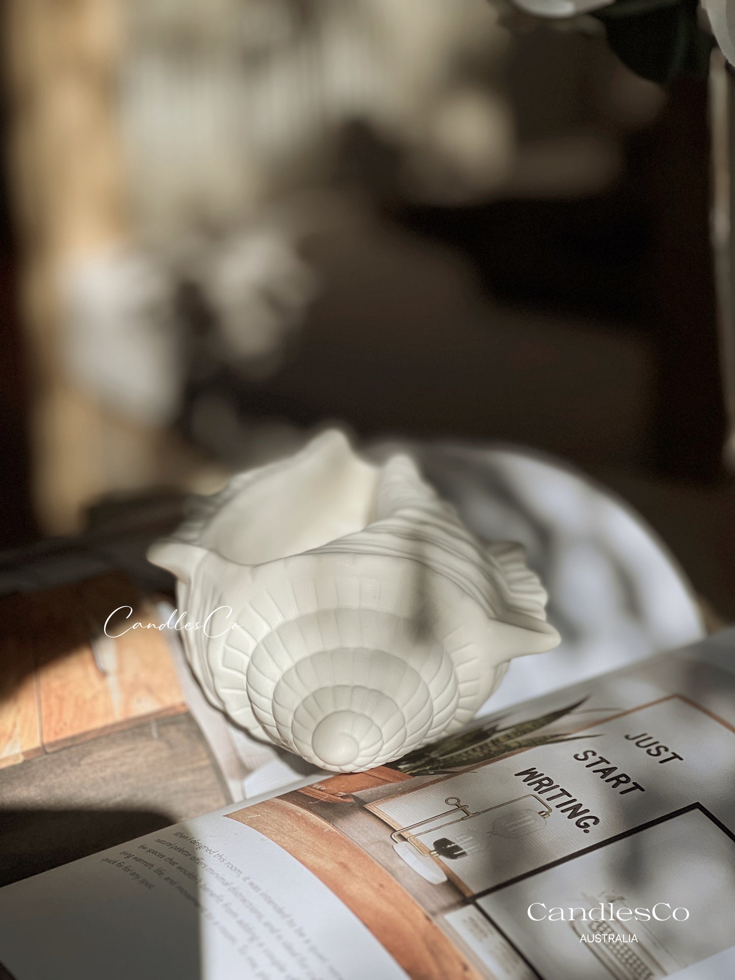 Large Seashell Vessel