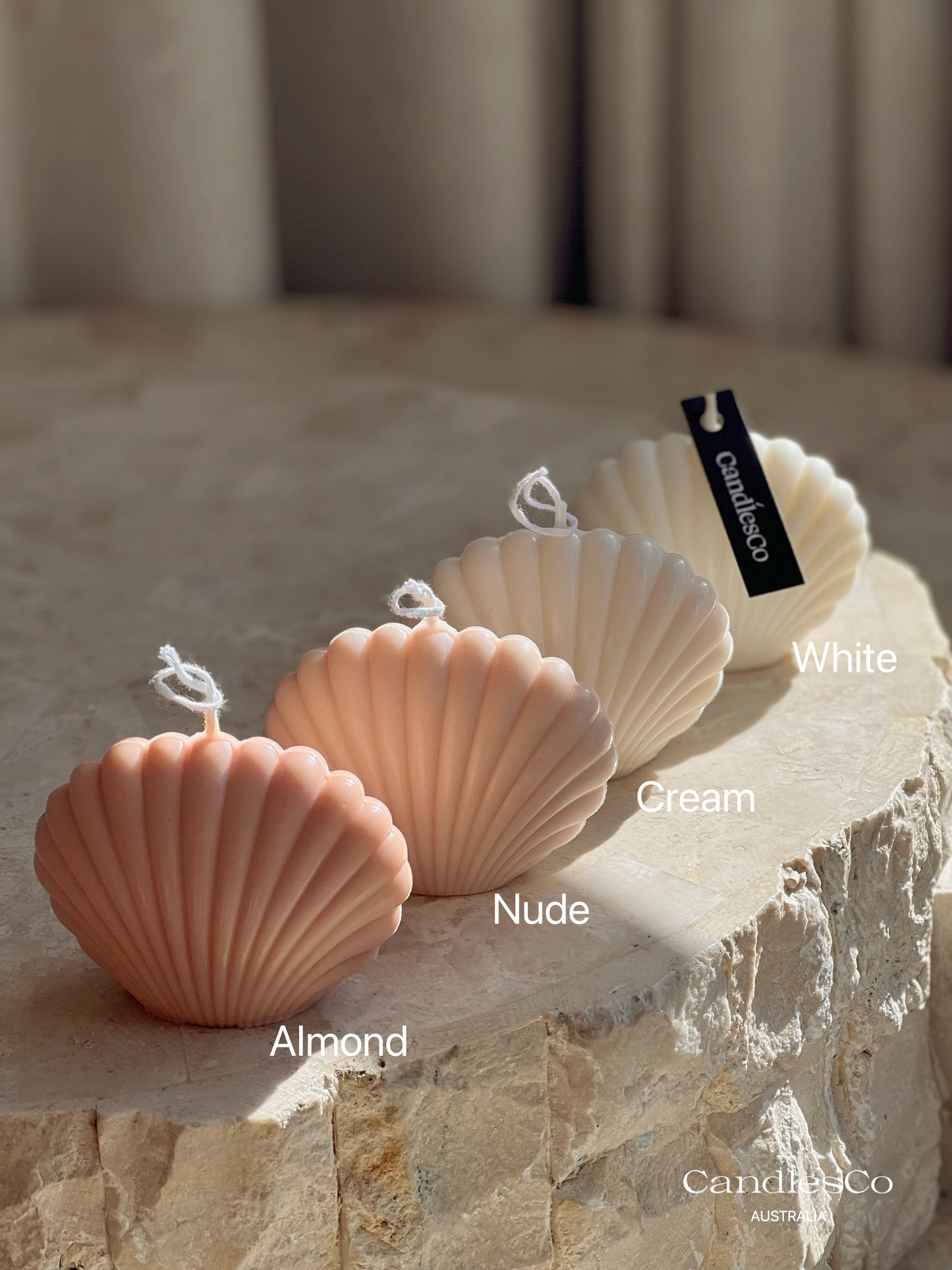 Seashell