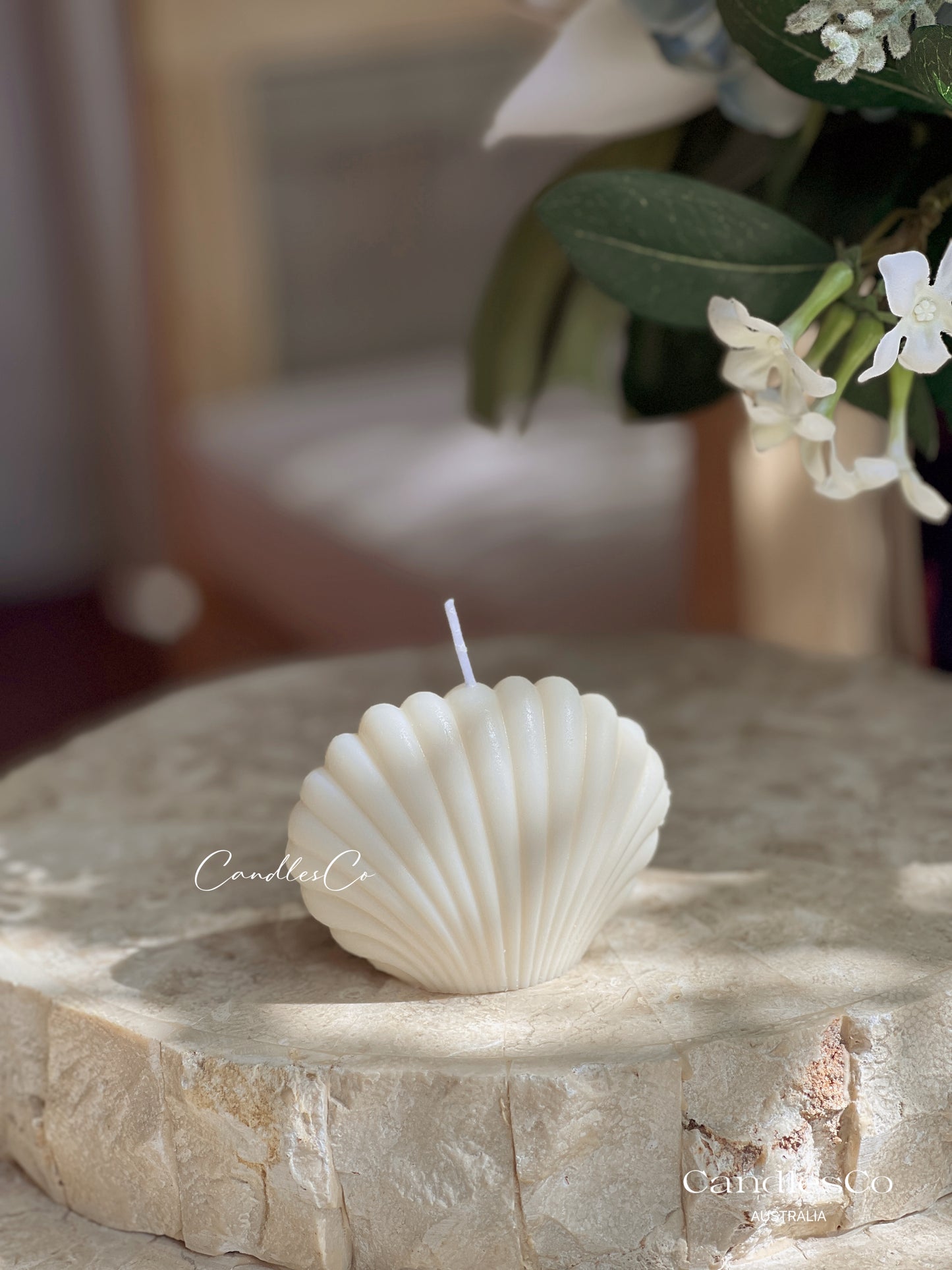 Small Seashell