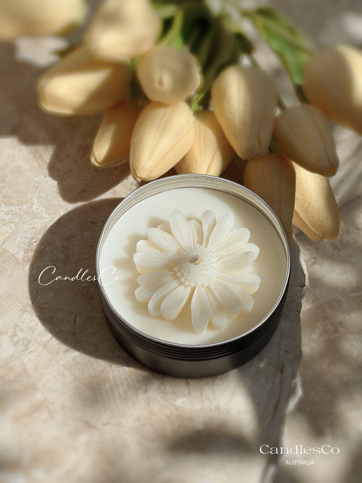 Scented Daisy