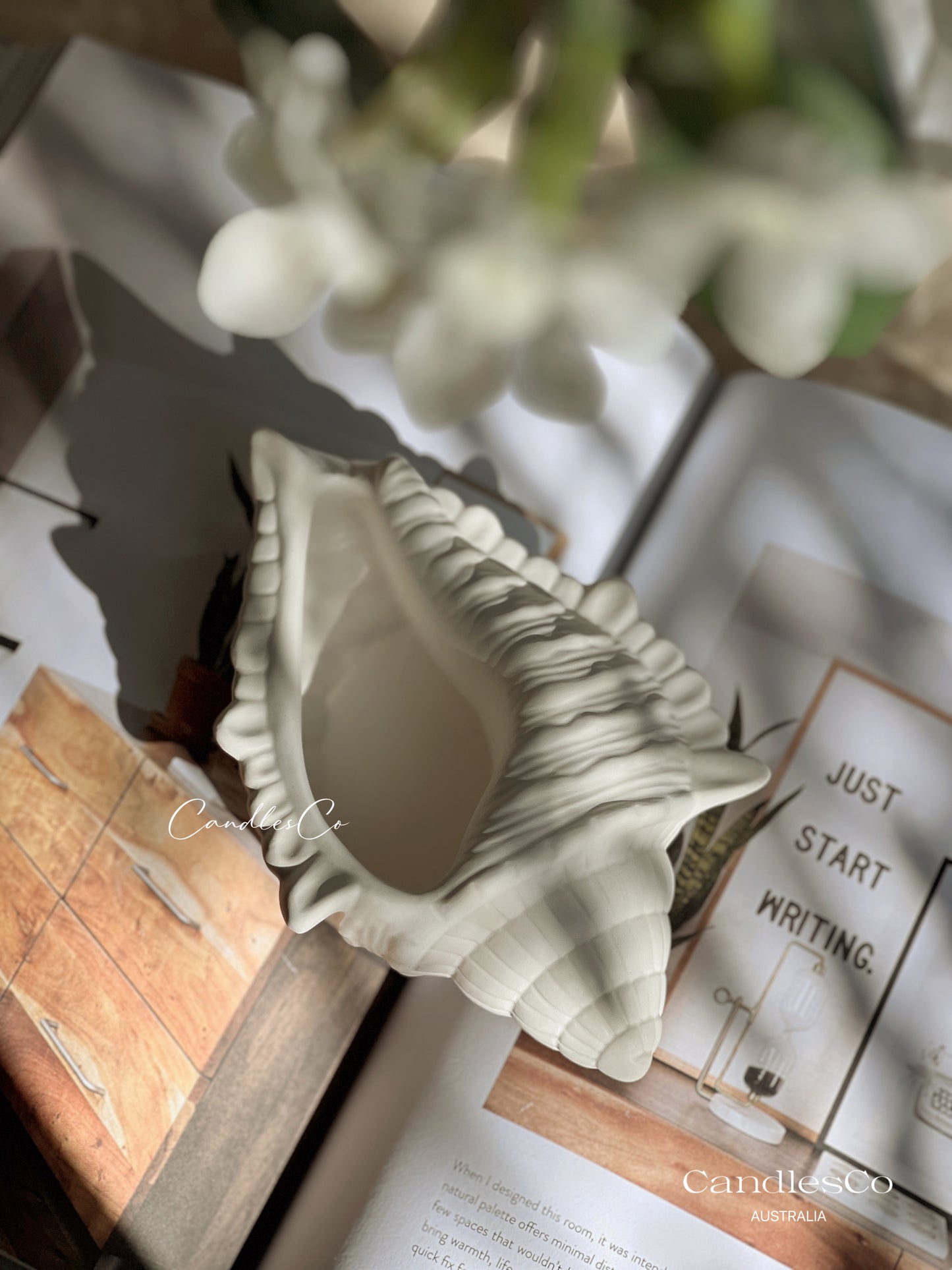 Large Seashell Vessel