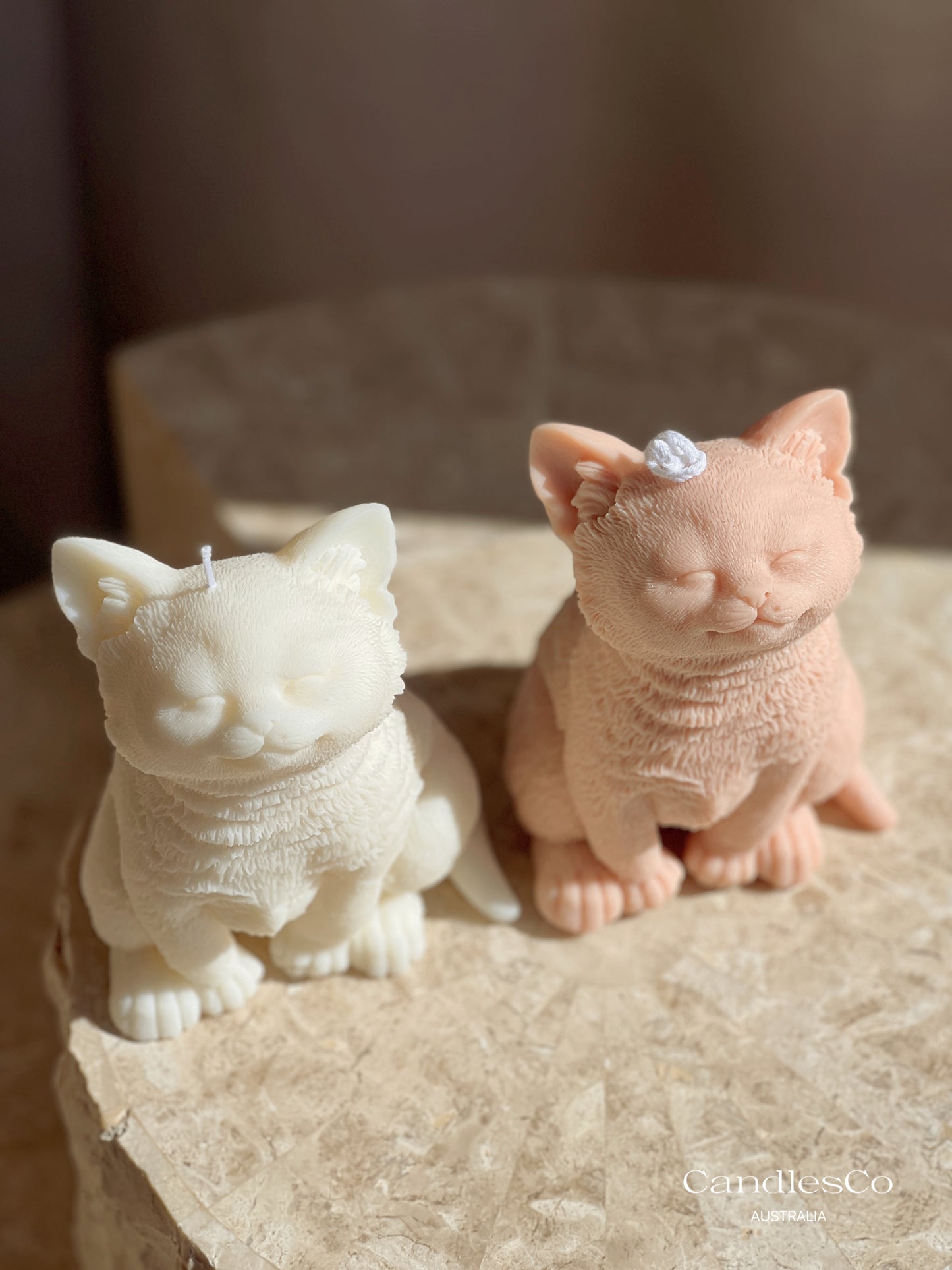 Kitten