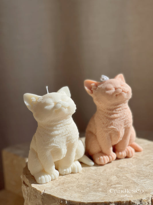 Kitten