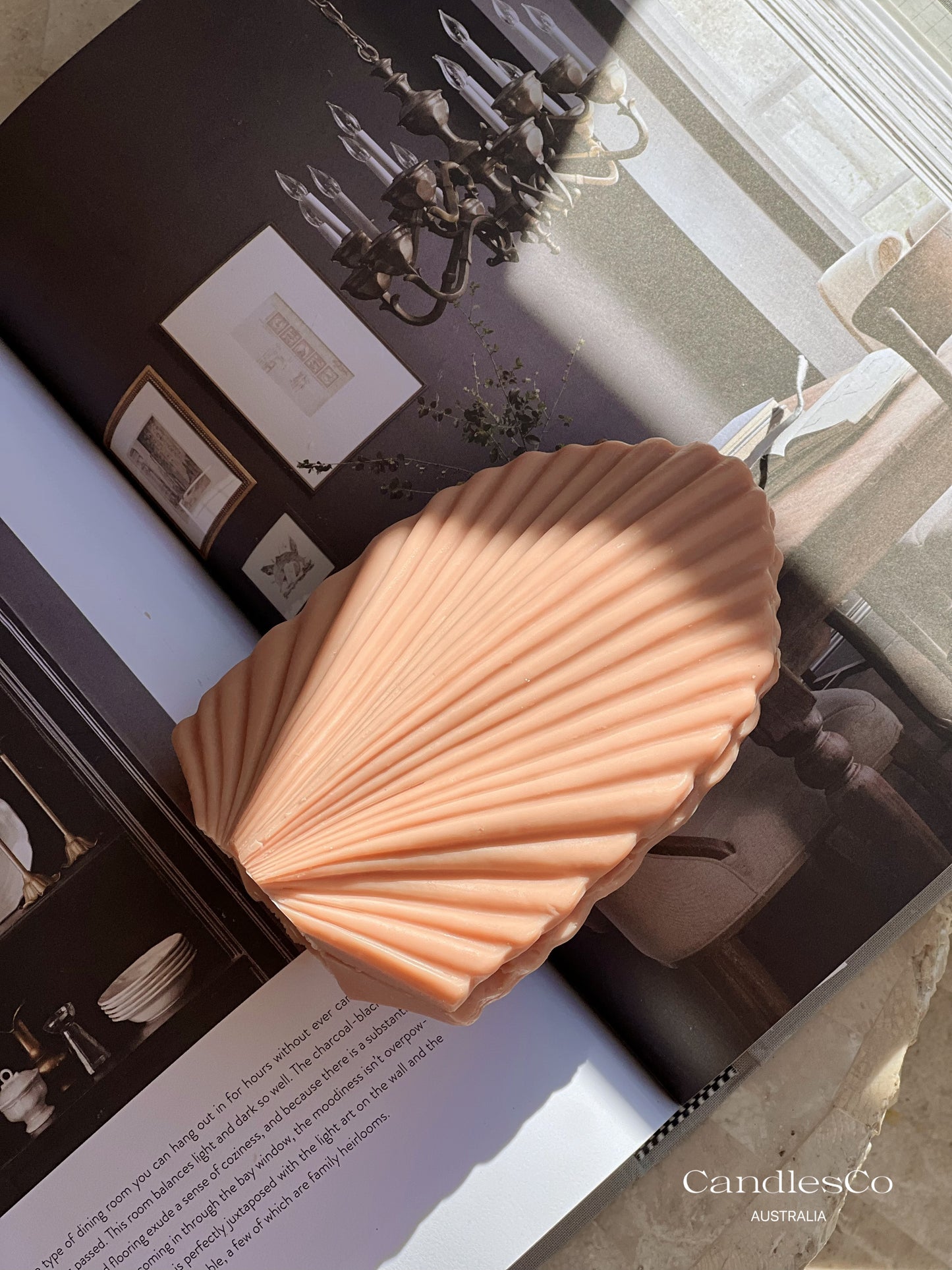 Medium Palm Leaf