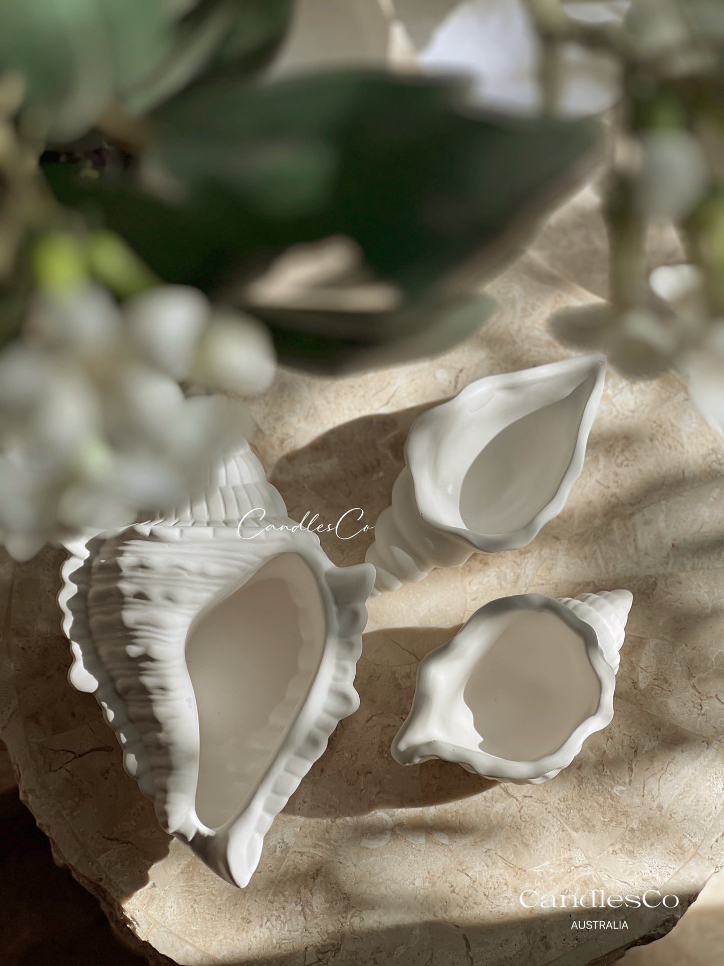 Clovelly Shell Vessel