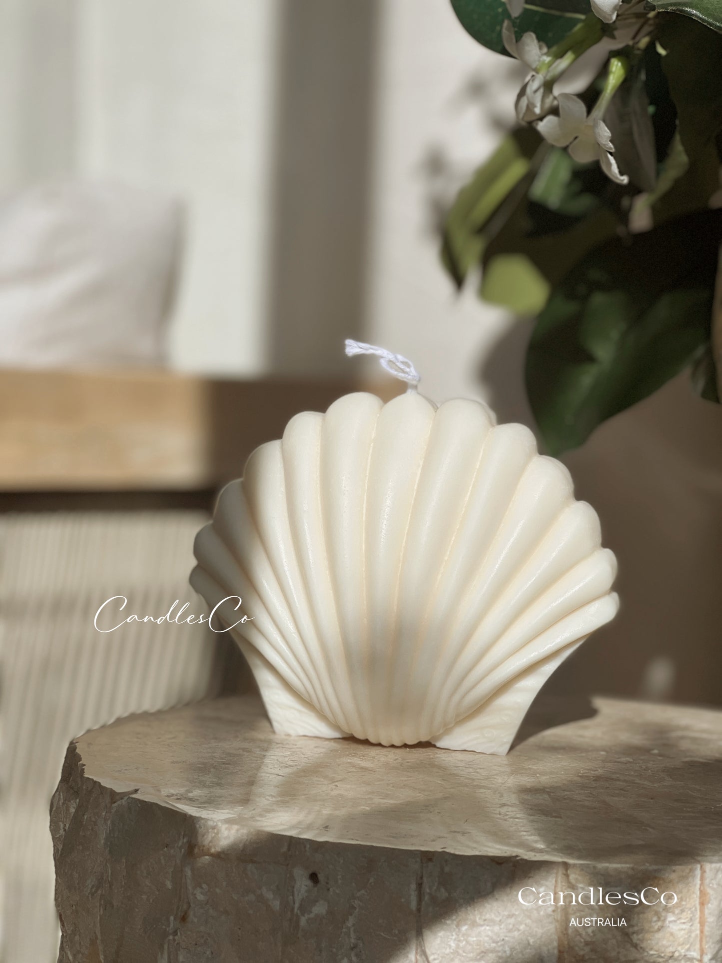 Large Scallop Shell