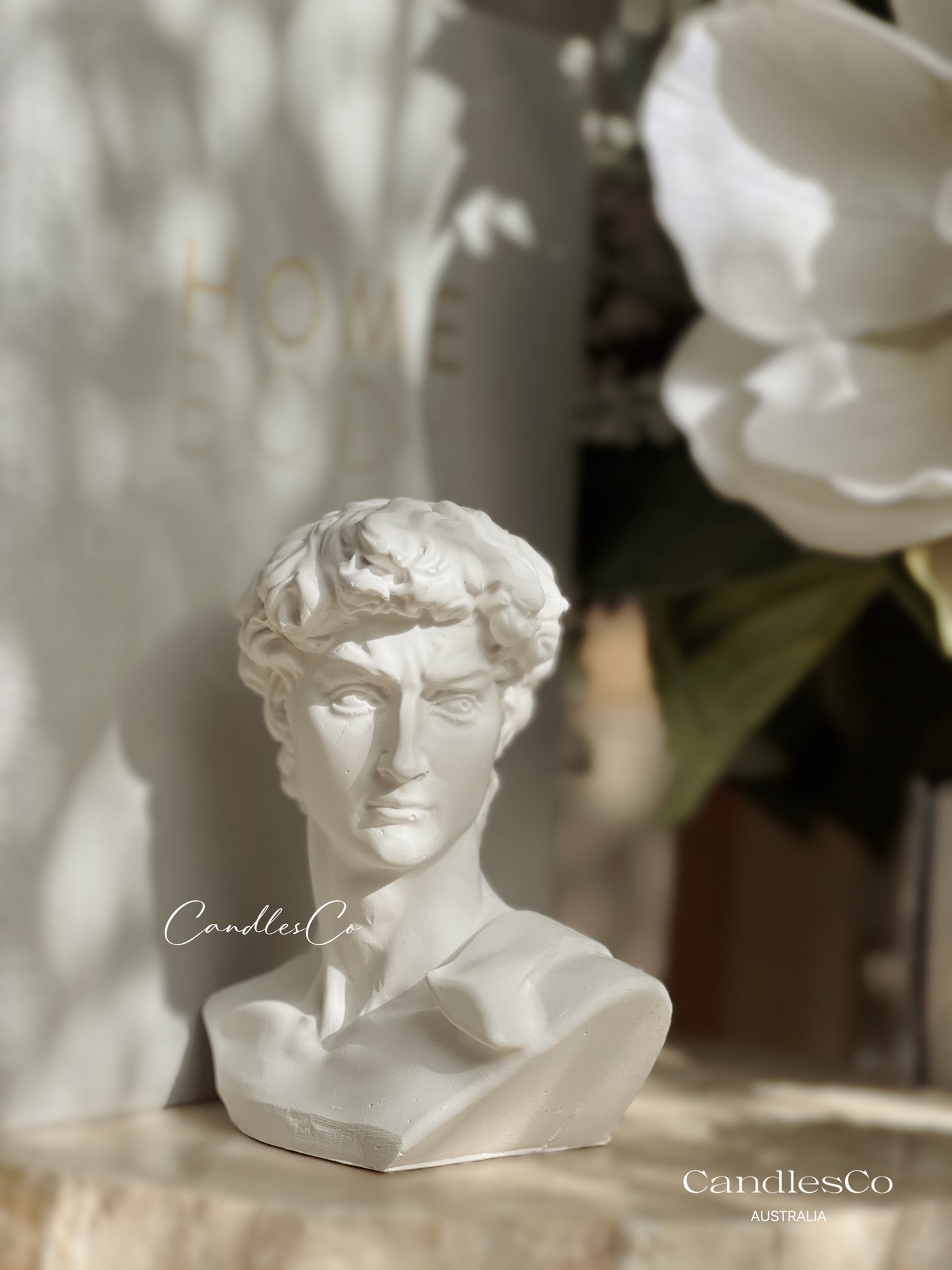 Statue David Bookend