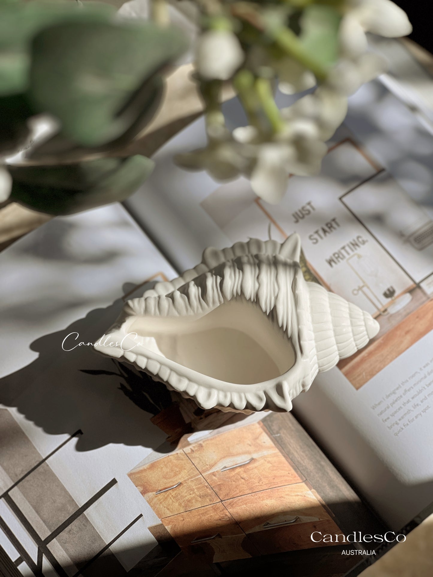 Large Seashell Vessel