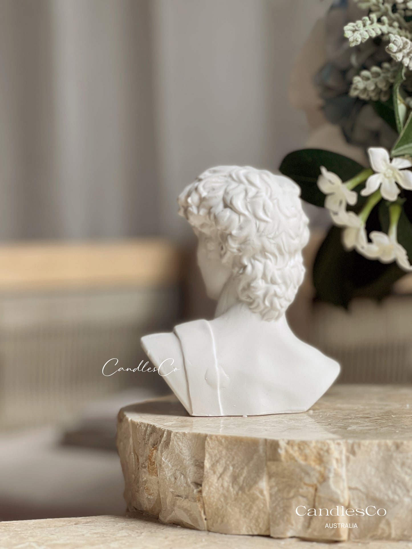 Statue David Bookend