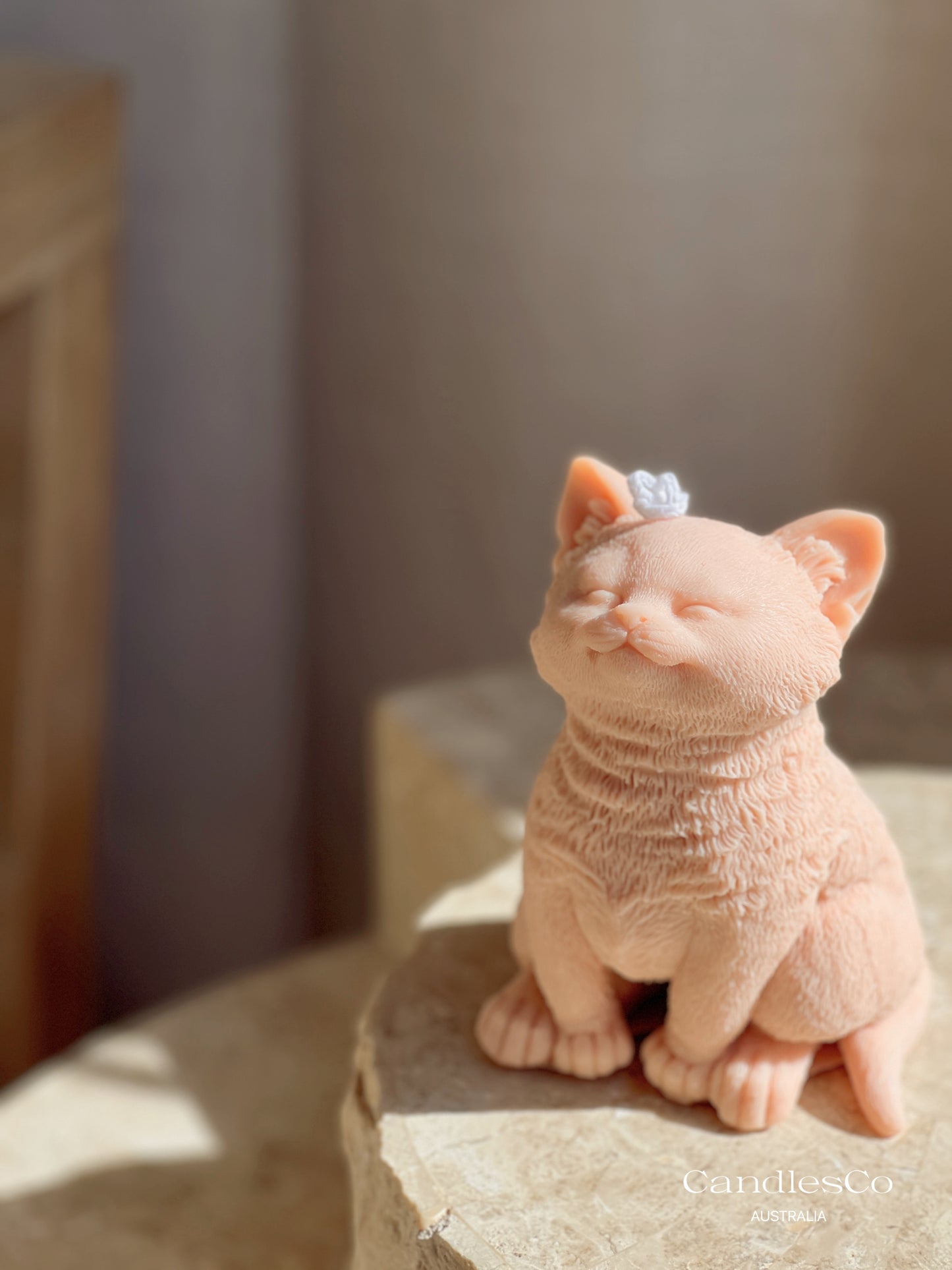 Kitten